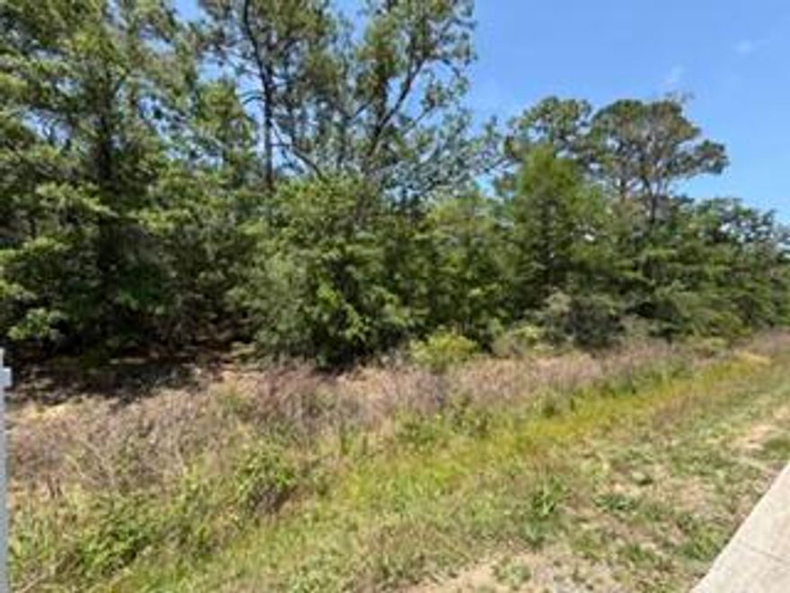 Great opportunity to own a vacant residential lot in the growing Navarre area with convenient access to Hwy 87, Navarre Beach, Milton, and I-10. This .25 acre parcel offers excellent potential for a future homesite, investment opportunity, or long-term hold in a rapidly developing corridor. Located just minutes from shopping, dining, schools and the white sandy beaches of the Gulf Coast!