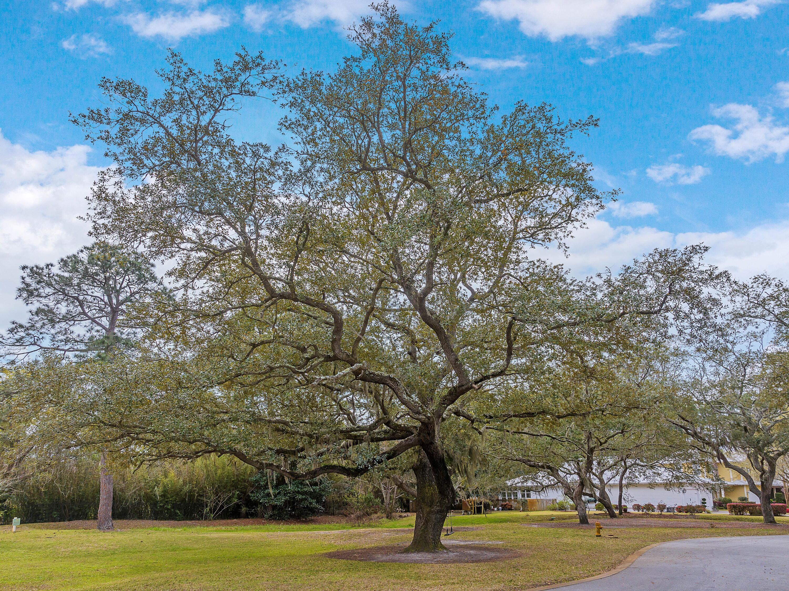 CARSON OAKS - Residential