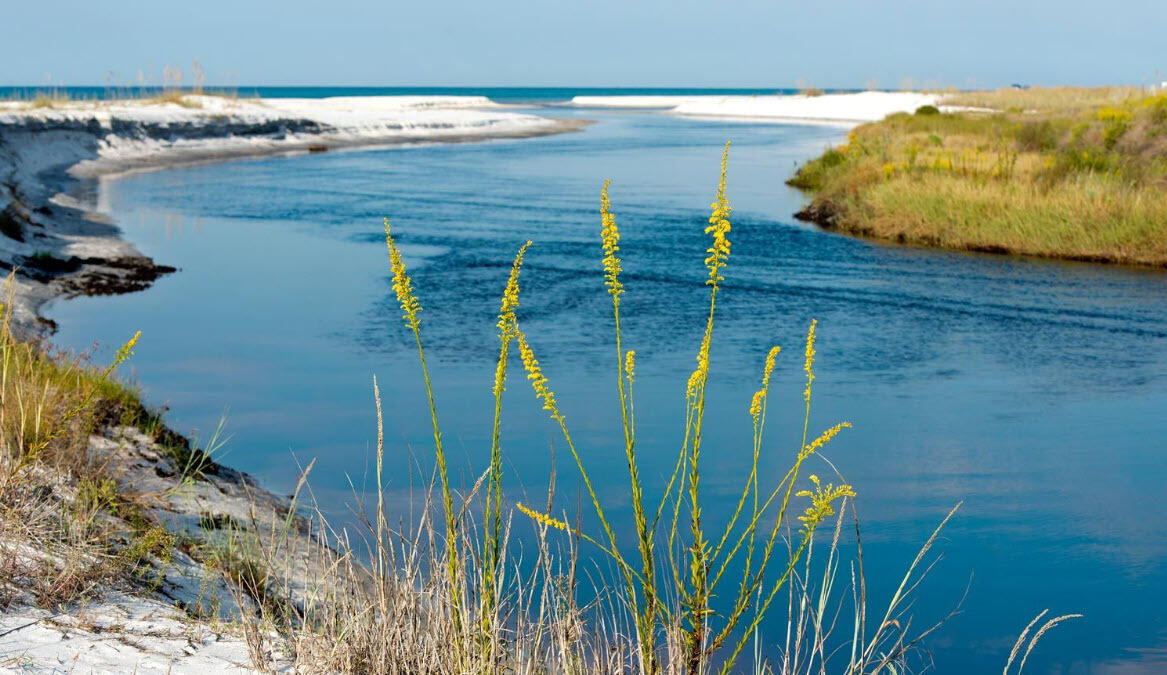 DUNE ALLEN 1ST ADDN - Residential