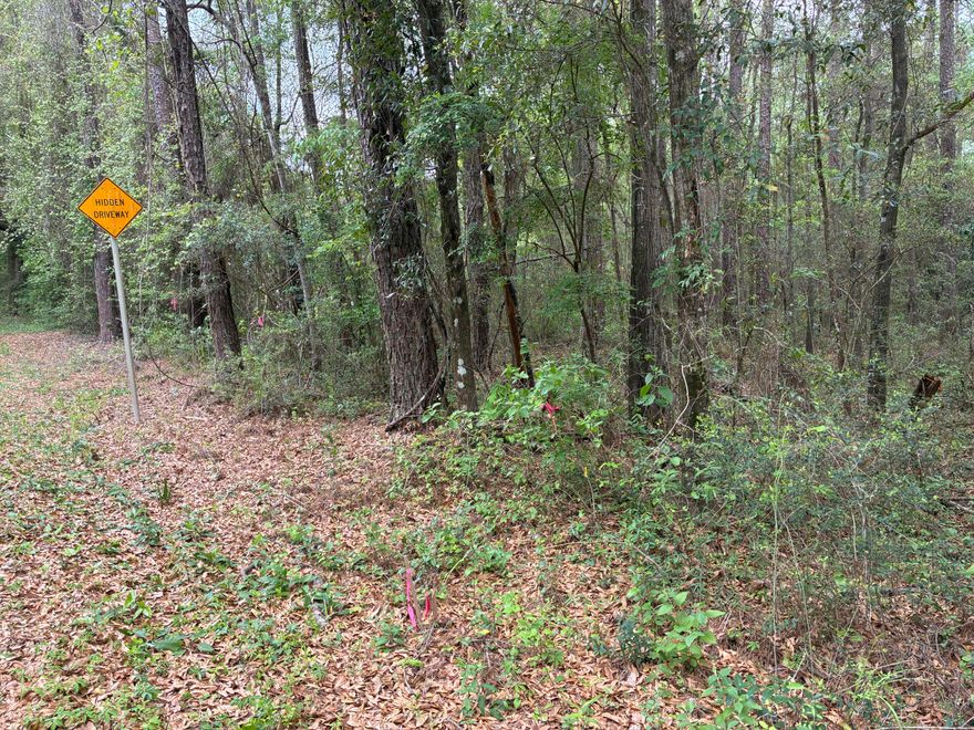If you're looking for seclusion and nature here is the perfect place for you! The land sits in Flood Zone X, High and Dry. Zoned Agriculture. The property is 2 combined parcels with paved road access. Wooded with mature volunteer slash pines. The tract sits at an angle to the roadway giving access with a buffer between the main section and the road. The Eucheanna Valley area is very desirable for those looking to move from the crowded suburbs and build their dream home in a rural setting. The traffic on the highway is never crowded, yet the roads are well maintained. Situated approximately 8 miles to the I-10 ramp. 5 minutes to the beautiful choctawhatchee river, minutes to Vortex, PDL & Morrison Spring, 30 minutes to the world's most beautiful beaches & 15 minutes to shopping and dining.