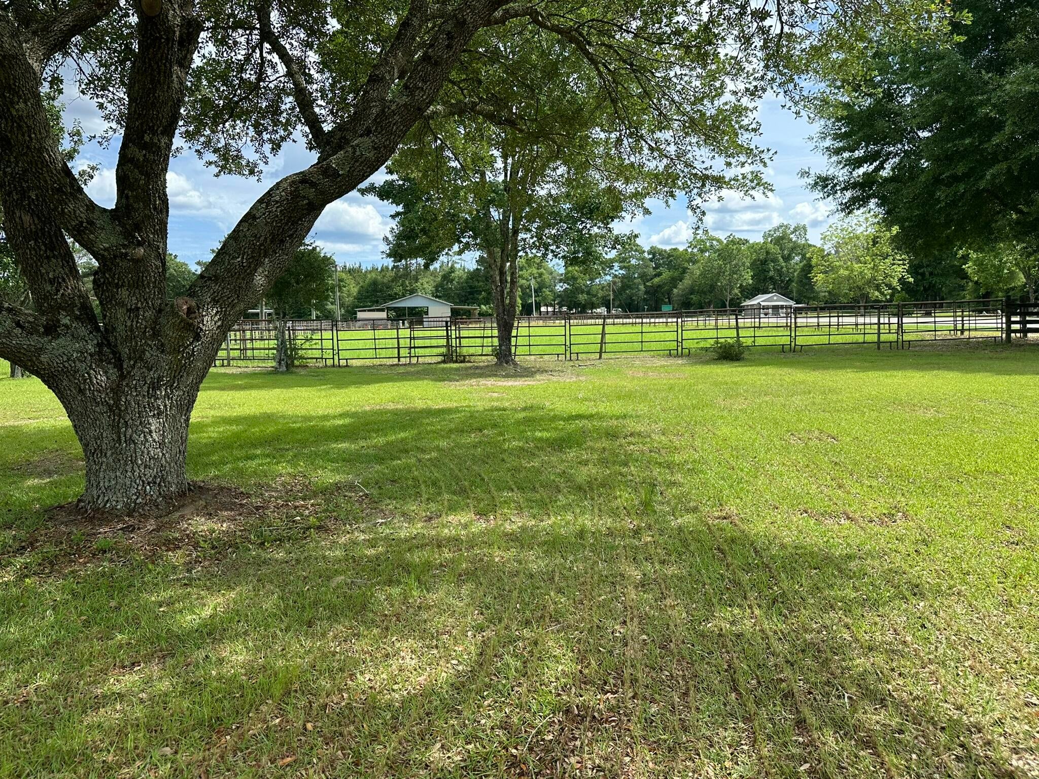 Old Ebenezer Rd, Florala, AL, 36442, USA, 3 Bedrooms Bedrooms, ,2 BathroomsBathrooms,Residential,Active,Old Ebenezer Rd,1005857