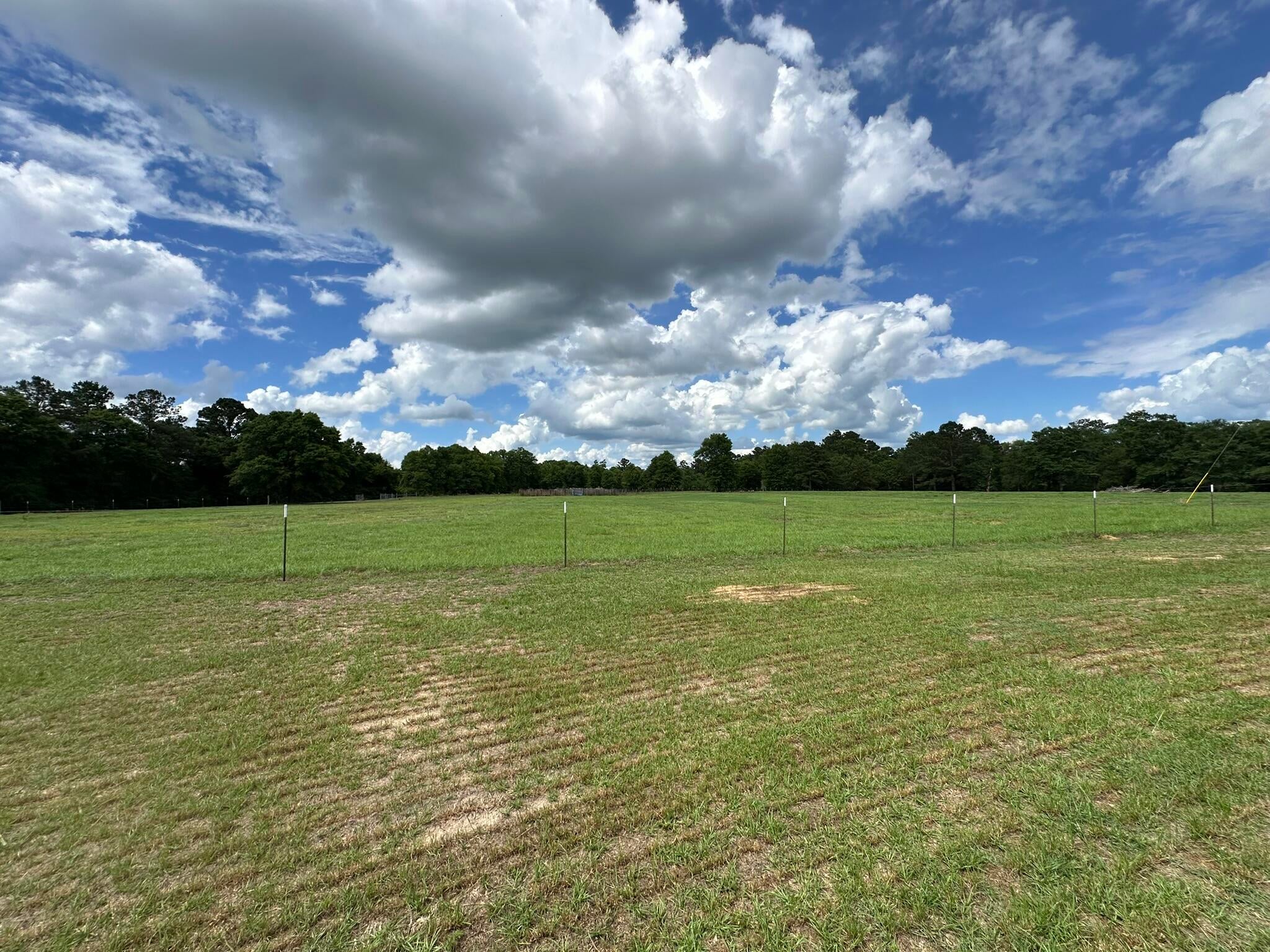 Old Ebenezer Rd, Florala, AL, 36442, USA, 3 Bedrooms Bedrooms, ,2 BathroomsBathrooms,Residential,Active,Old Ebenezer Rd,1005857