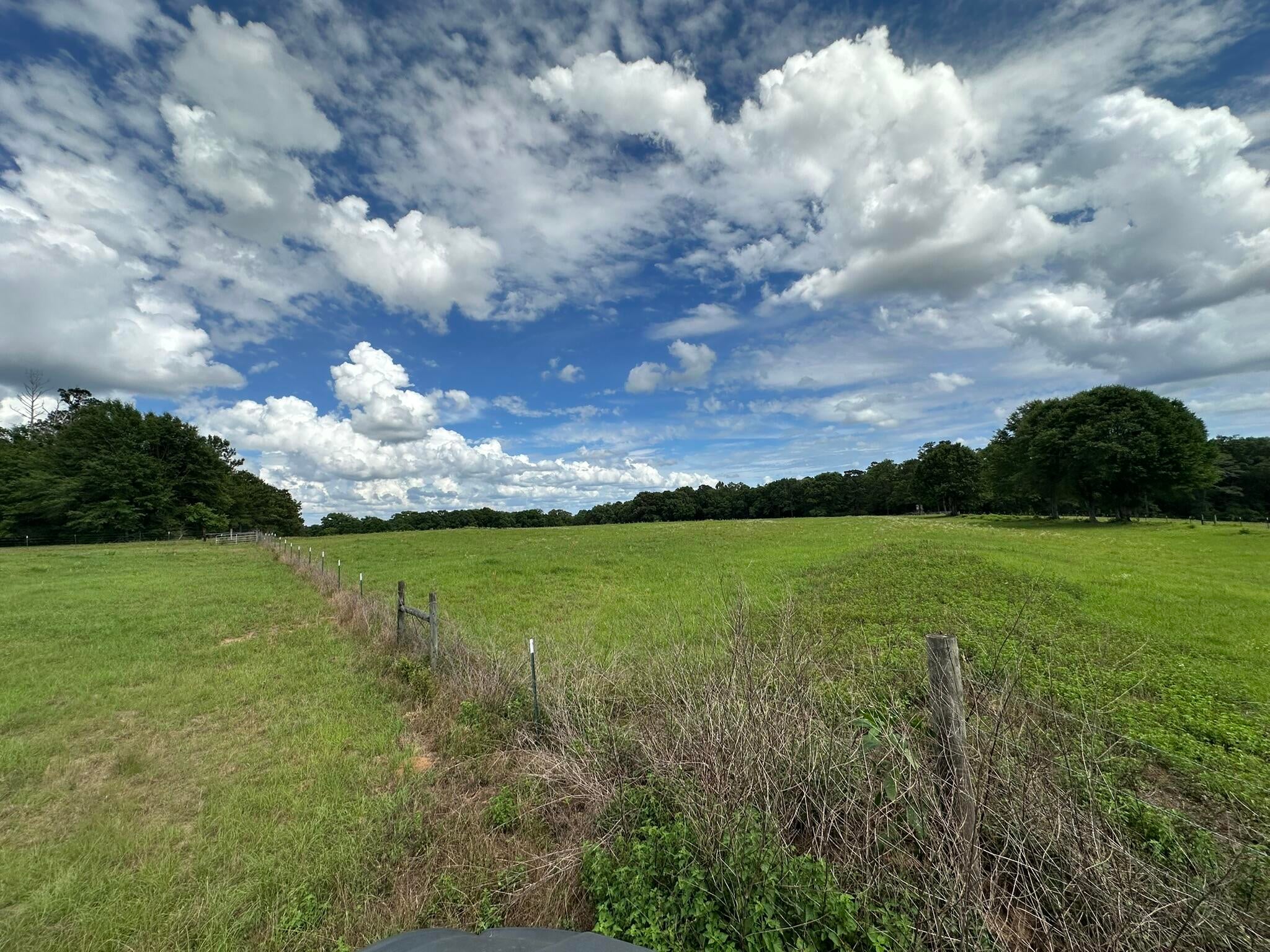 Old Ebenezer Rd, Florala, AL, 36442, USA, 3 Bedrooms Bedrooms, ,2 BathroomsBathrooms,Residential,Active,Old Ebenezer Rd,1005857