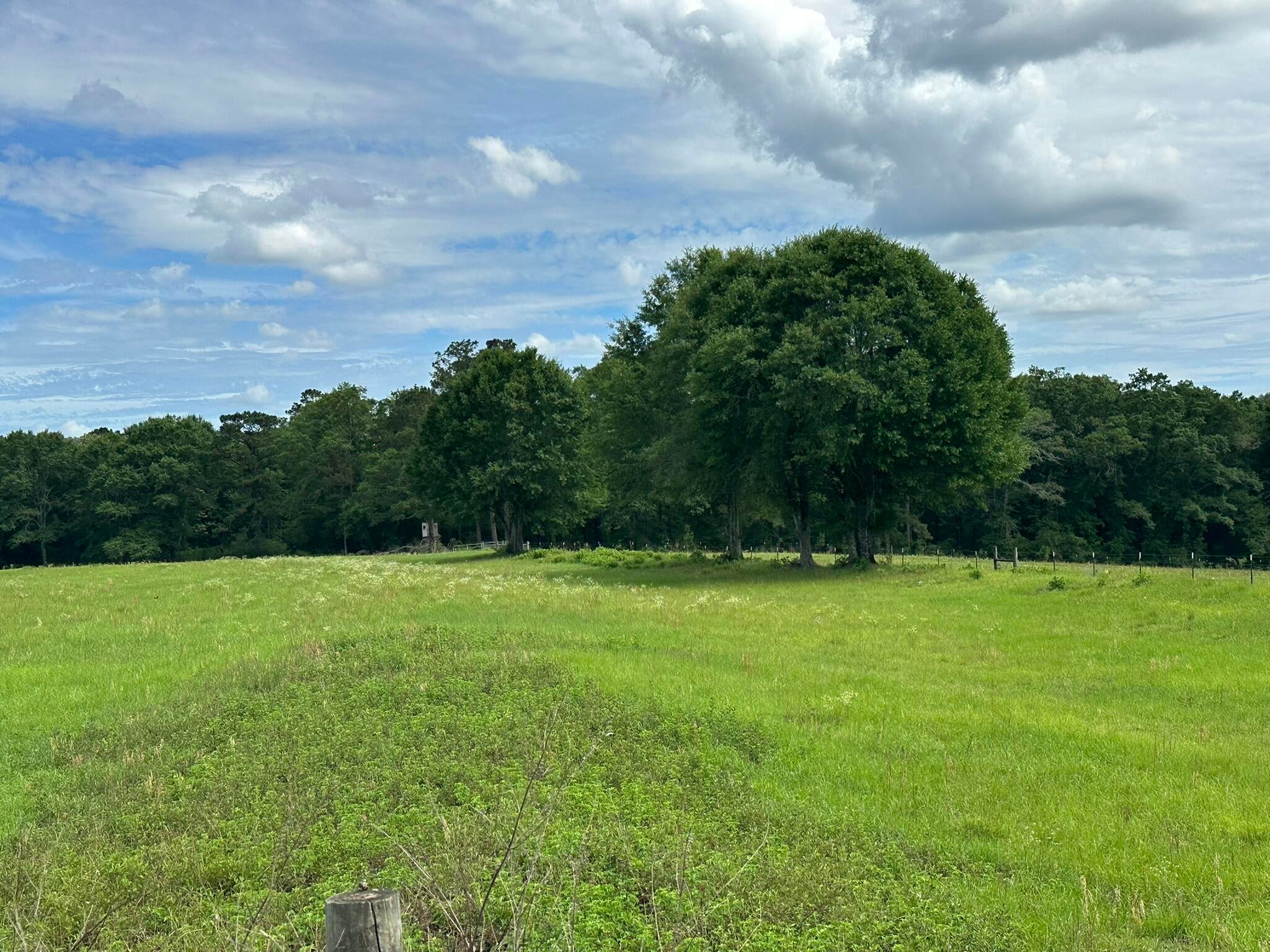 Old Ebenezer Rd, Florala, AL, 36442, USA, 3 Bedrooms Bedrooms, ,2 BathroomsBathrooms,Residential,Active,Old Ebenezer Rd,1005857