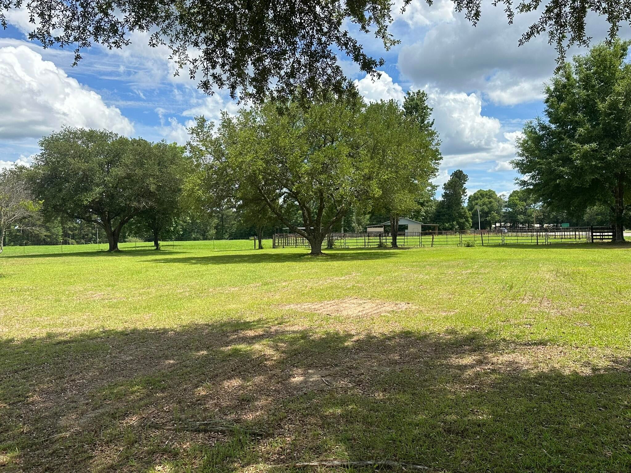 Old Ebenezer Rd, Florala, AL, 36442, USA, 3 Bedrooms Bedrooms, ,2 BathroomsBathrooms,Residential,Active,Old Ebenezer Rd,1005857