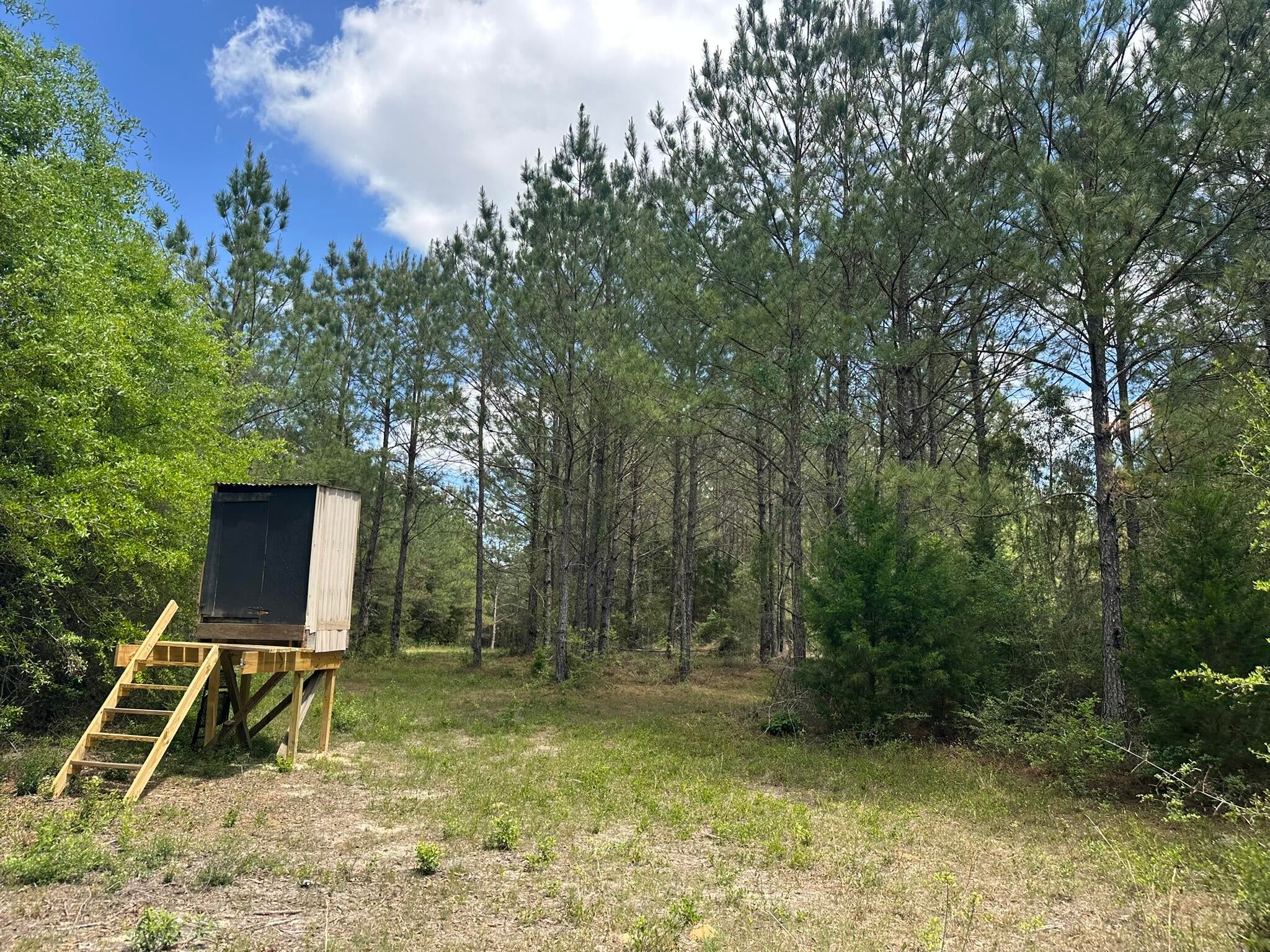 Old Ebenezer Rd, Florala, AL, 36442, USA, 3 Bedrooms Bedrooms, ,2 BathroomsBathrooms,Residential,Active,Old Ebenezer Rd,1005857