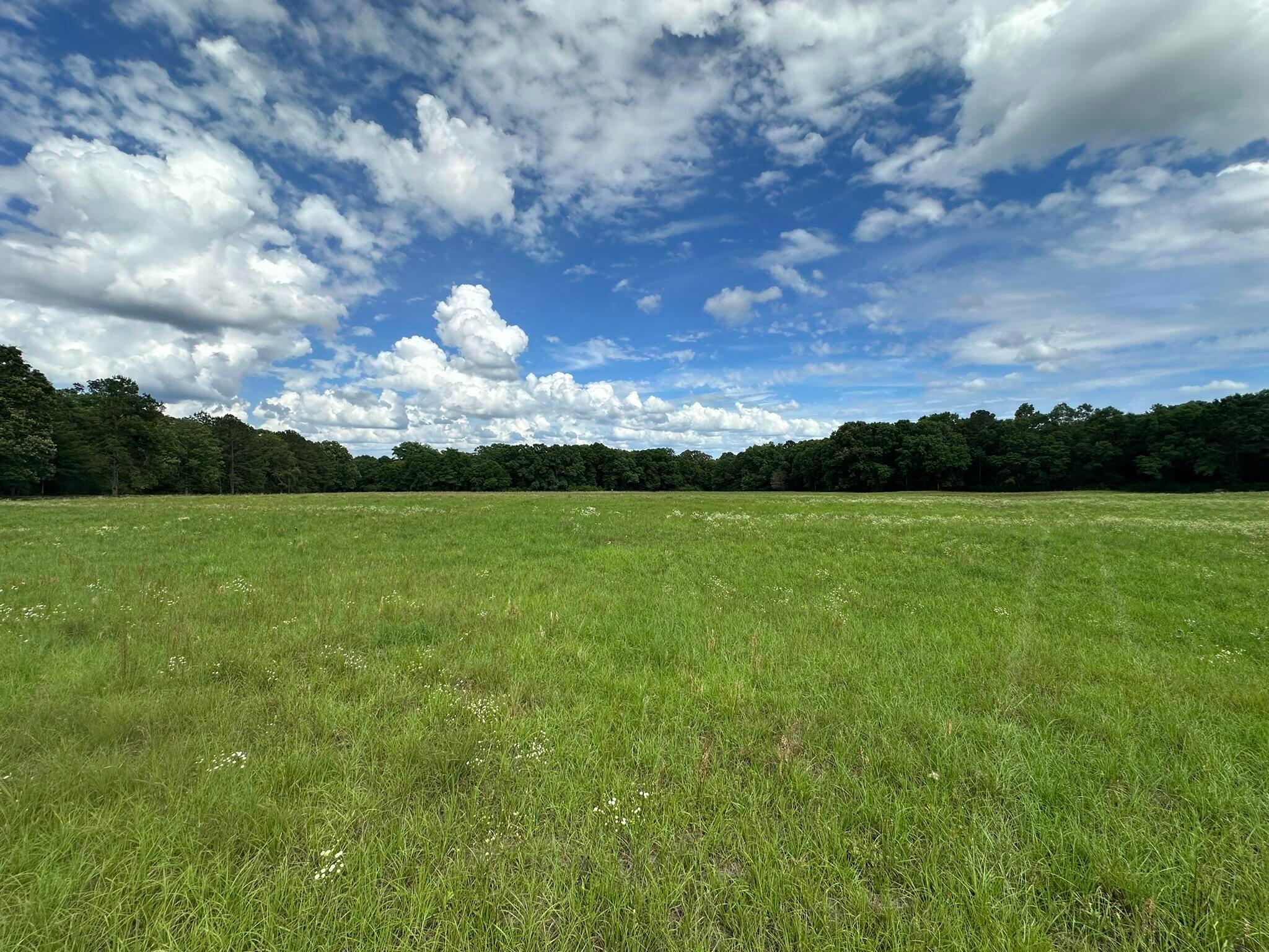 Old Ebenezer Rd, Florala, AL, 36442, USA, 3 Bedrooms Bedrooms, ,2 BathroomsBathrooms,Residential,Active,Old Ebenezer Rd,1005857