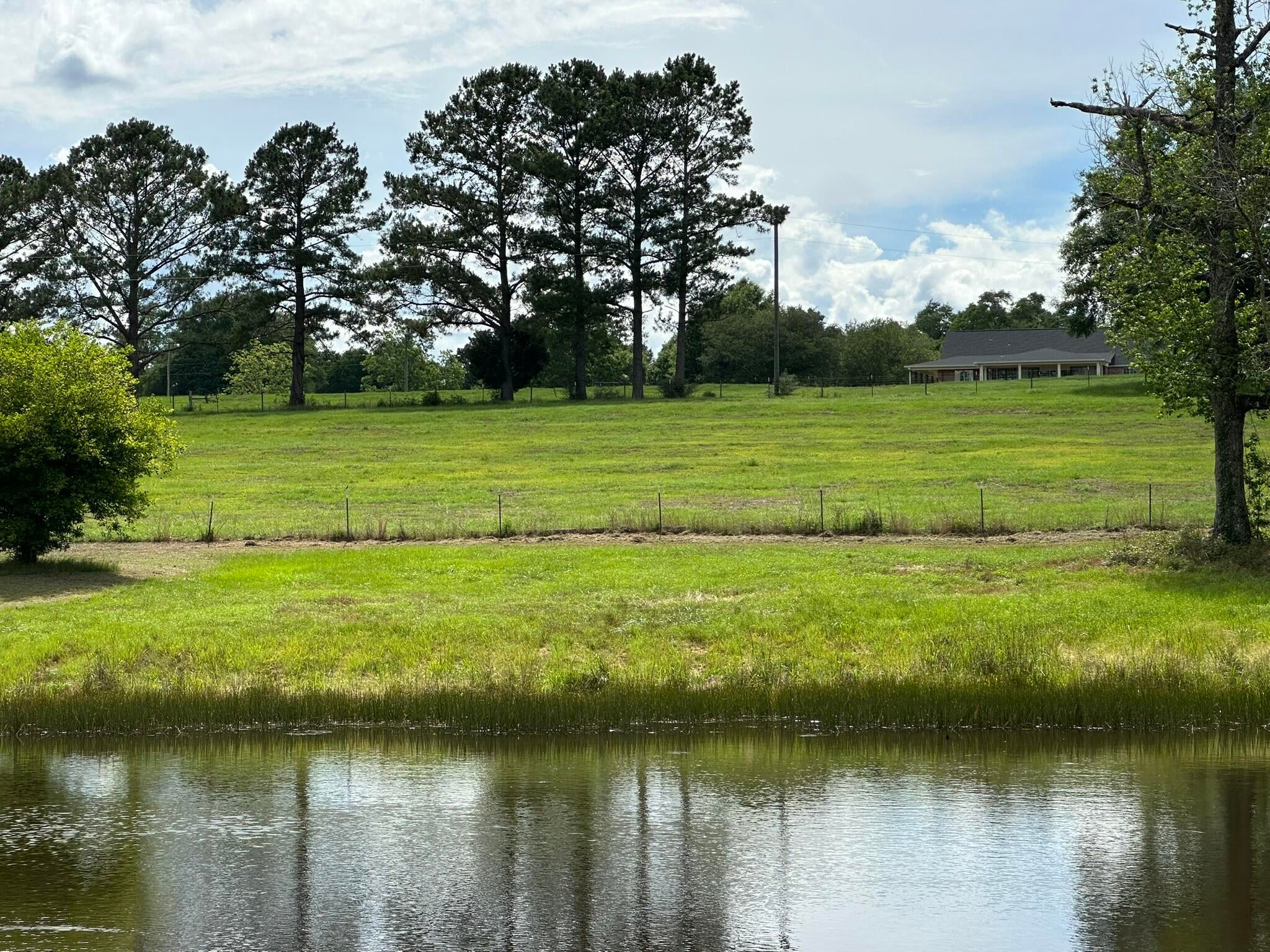 Old Ebenezer Rd, Florala, AL, 36442, USA, 3 Bedrooms Bedrooms, ,2 BathroomsBathrooms,Residential,Active,Old Ebenezer Rd,1005857