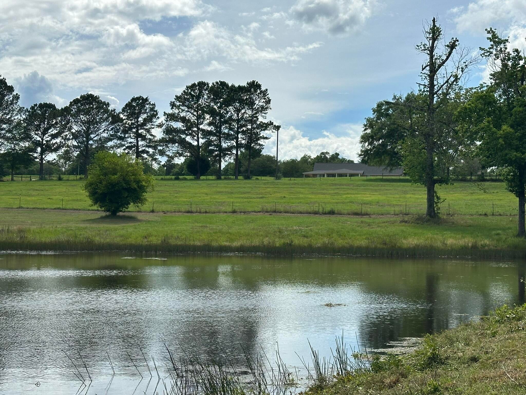 Old Ebenezer Rd, Florala, AL, 36442, USA, 3 Bedrooms Bedrooms, ,2 BathroomsBathrooms,Residential,Active,Old Ebenezer Rd,1005857