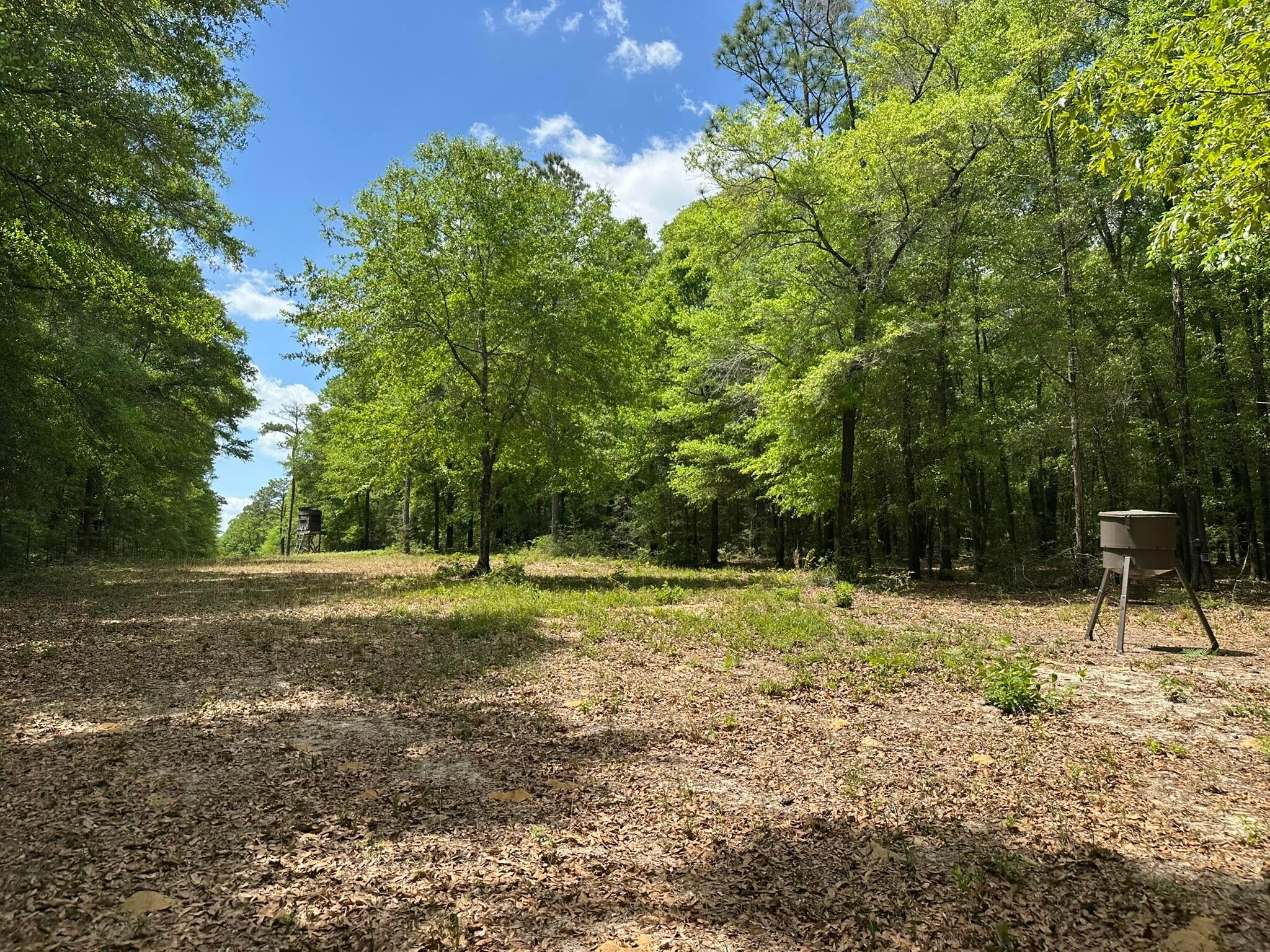 Old Ebenezer Rd, Florala, AL, 36442, USA, 3 Bedrooms Bedrooms, ,2 BathroomsBathrooms,Residential,Active,Old Ebenezer Rd,1005857