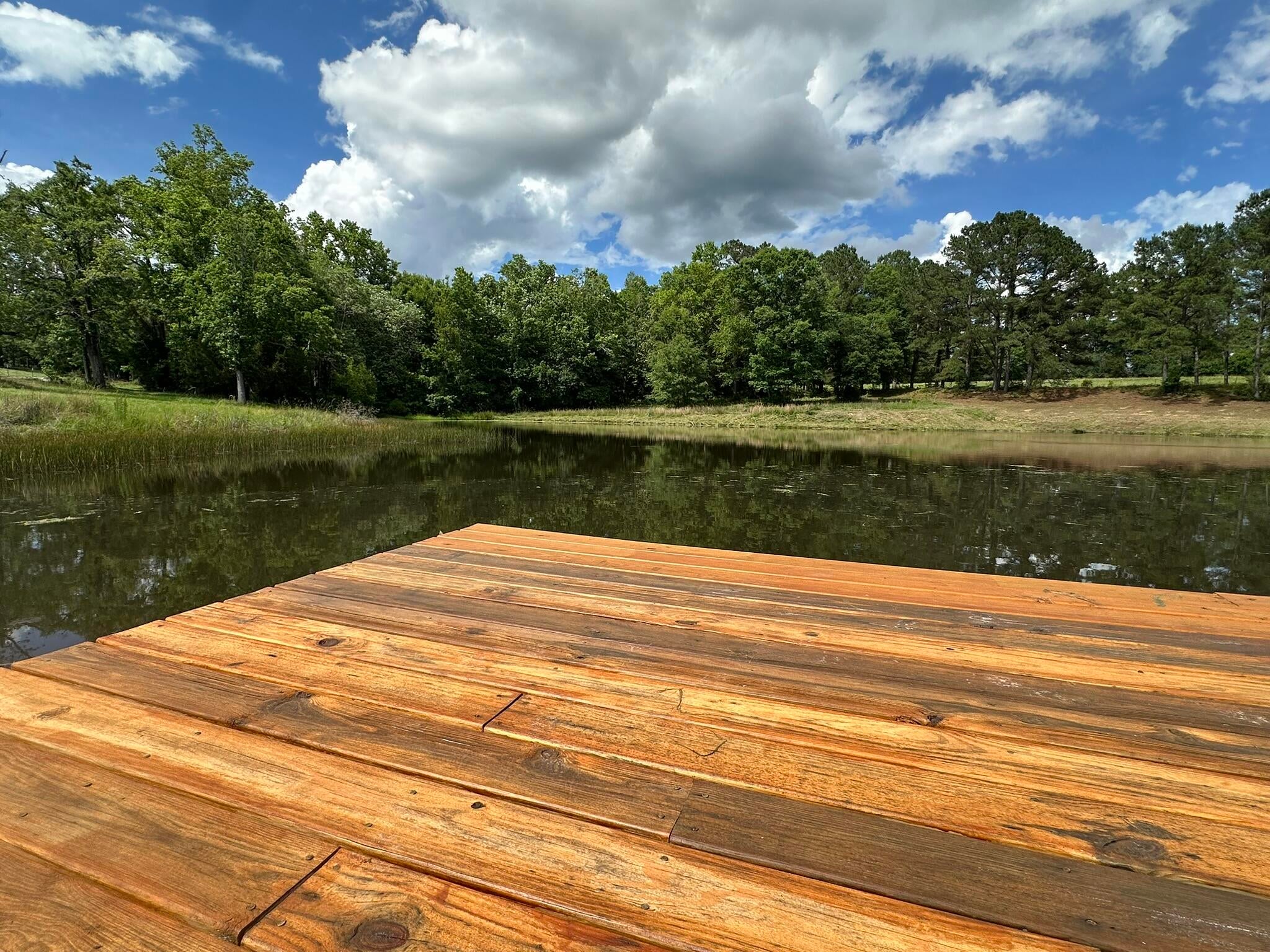 Old Ebenezer Rd, Florala, AL, 36442, USA, 3 Bedrooms Bedrooms, ,2 BathroomsBathrooms,Residential,Active,Old Ebenezer Rd,1005857