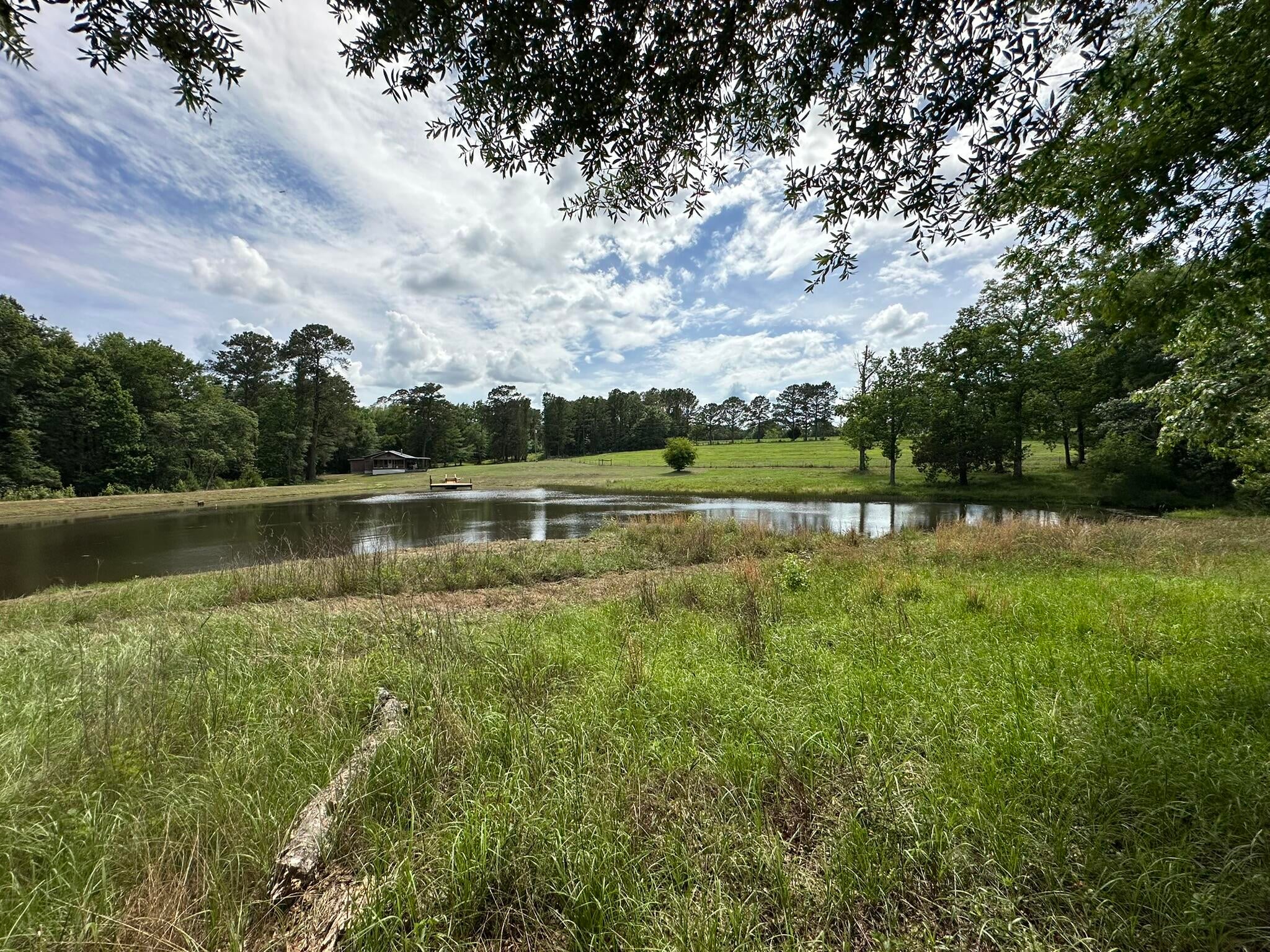 Old Ebenezer Rd, Florala, AL, 36442, USA, 3 Bedrooms Bedrooms, ,2 BathroomsBathrooms,Residential,Active,Old Ebenezer Rd,1005857