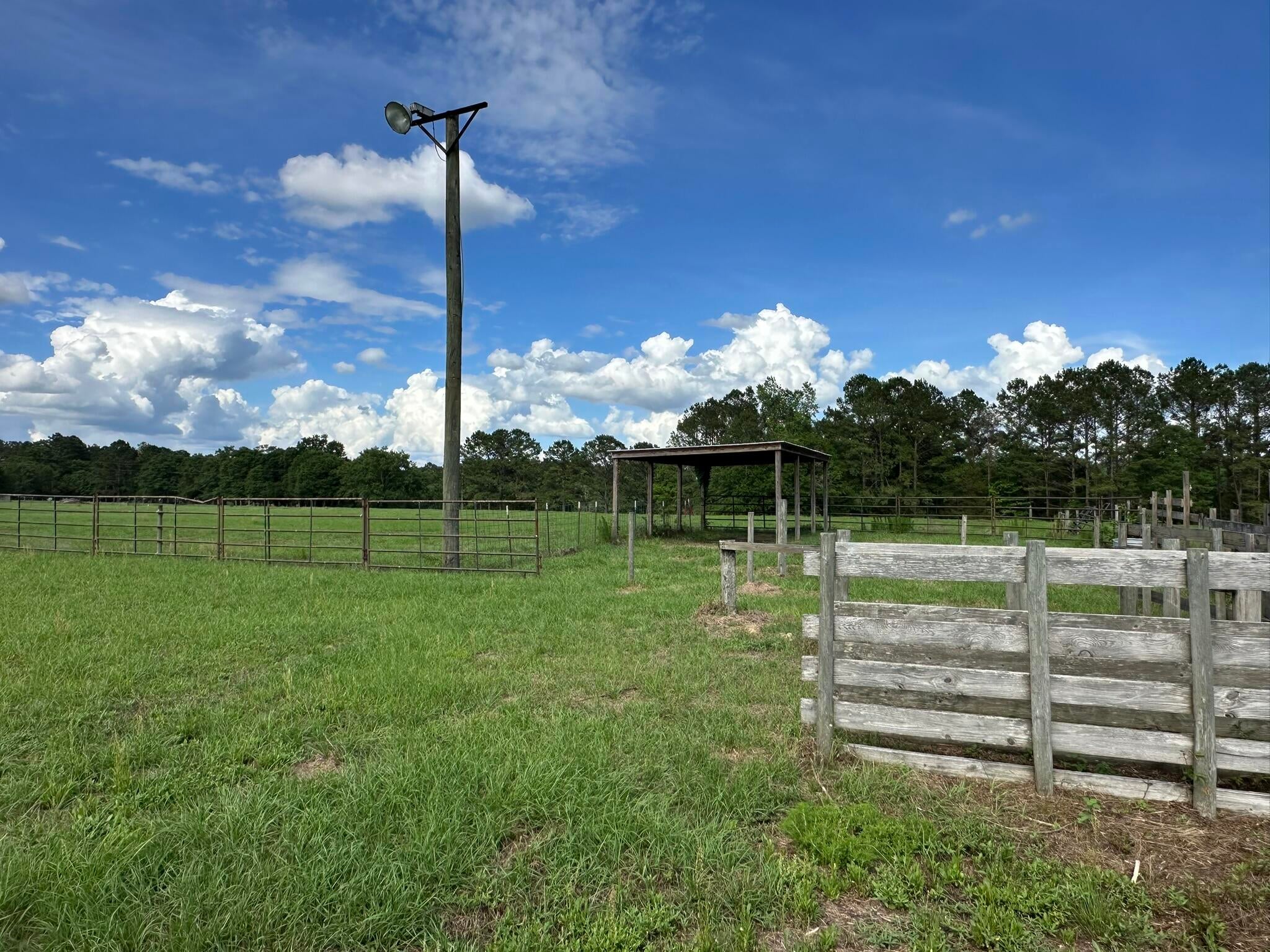 Old Ebenezer Rd, Florala, AL, 36442, USA, 3 Bedrooms Bedrooms, ,2 BathroomsBathrooms,Residential,Active,Old Ebenezer Rd,1005857
