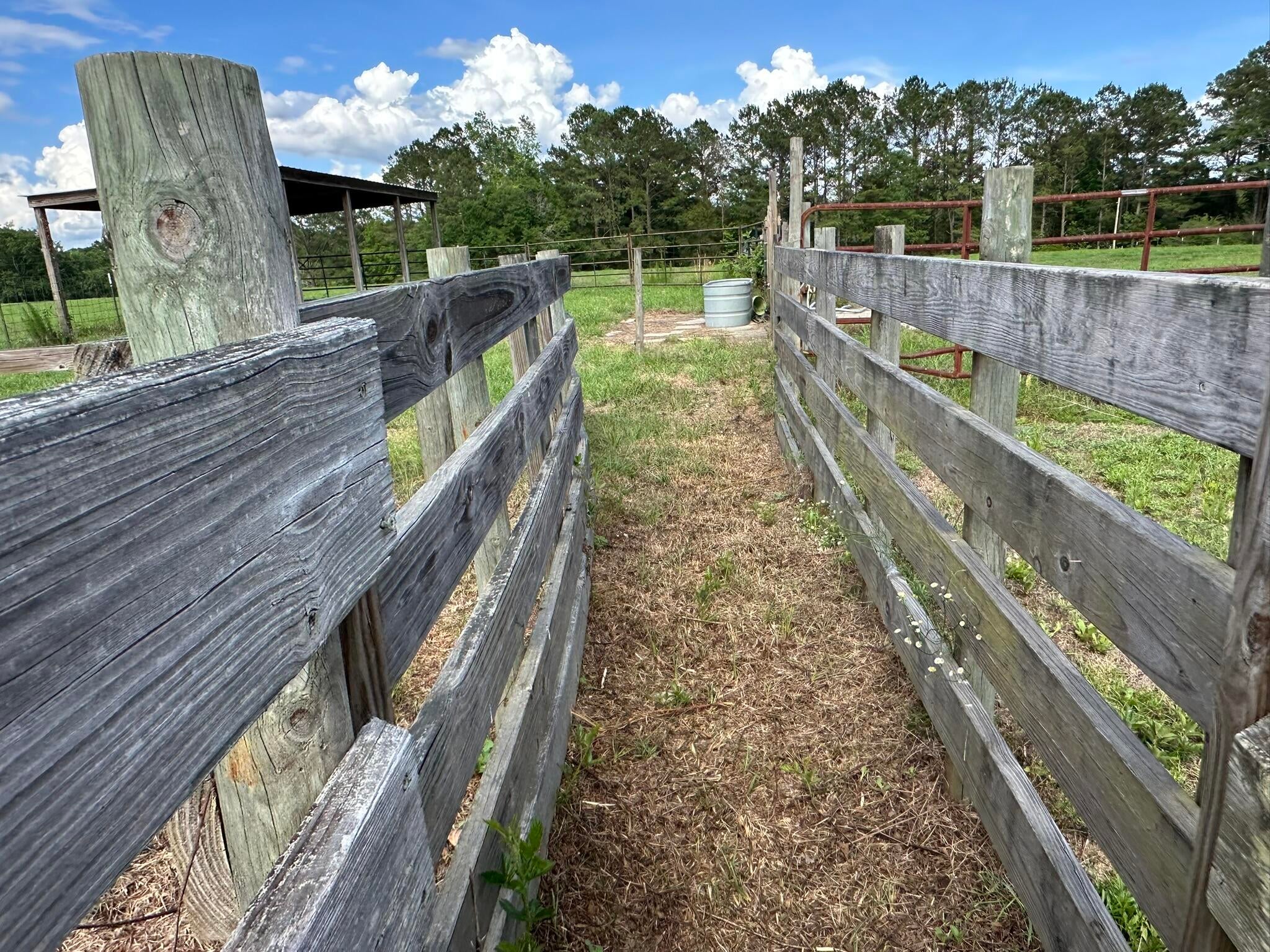 Old Ebenezer Rd, Florala, AL, 36442, USA, 3 Bedrooms Bedrooms, ,2 BathroomsBathrooms,Residential,Active,Old Ebenezer Rd,1005857
