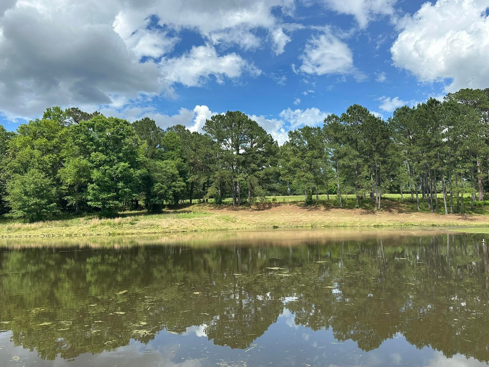 Old Ebenezer Rd, Florala, AL, 36442, USA, 3 Bedrooms Bedrooms, ,2 BathroomsBathrooms,Residential,Active,Old Ebenezer Rd,1005857