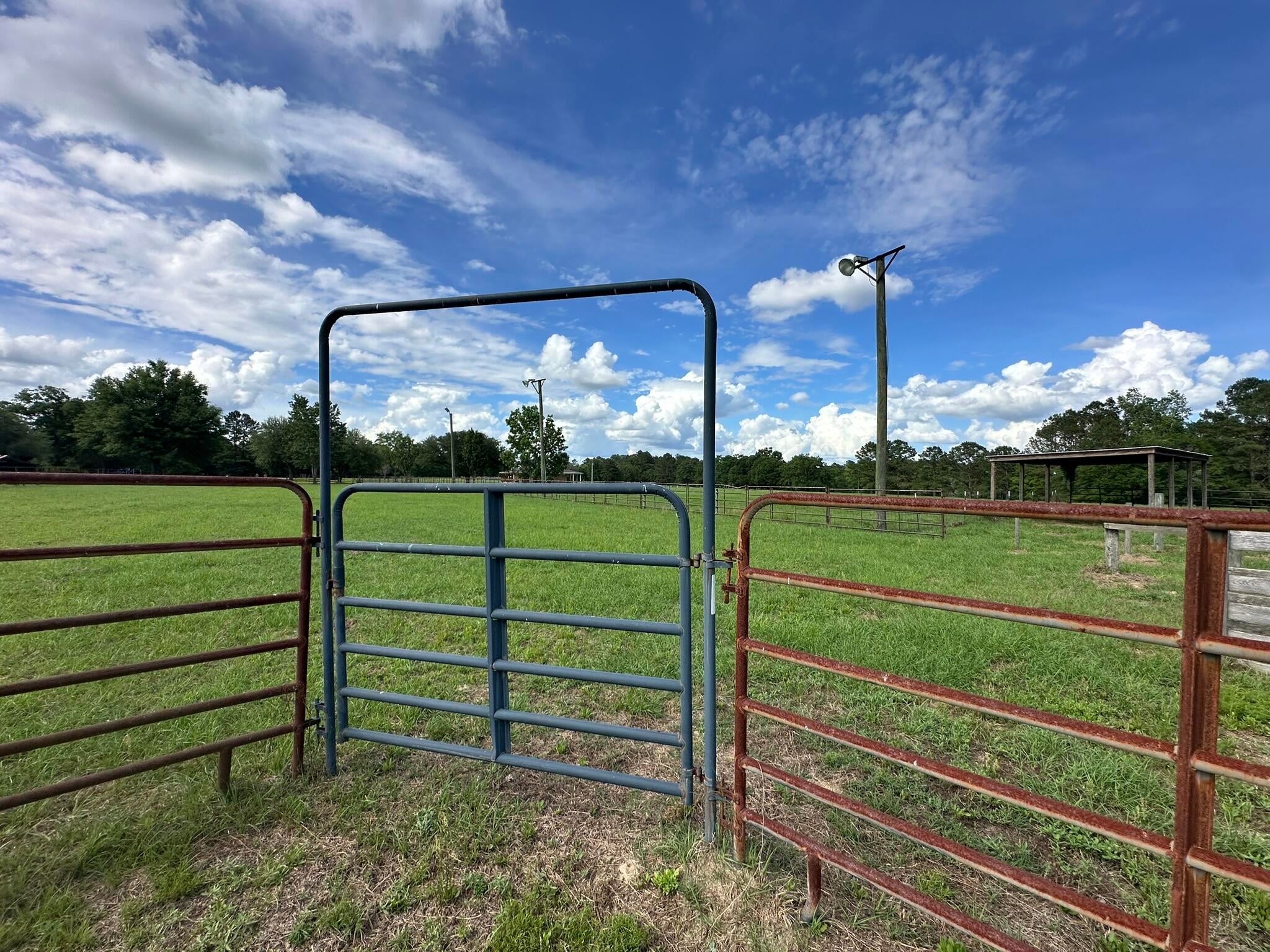 Old Ebenezer Rd, Florala, AL, 36442, USA, 3 Bedrooms Bedrooms, ,2 BathroomsBathrooms,Residential,Active,Old Ebenezer Rd,1005857