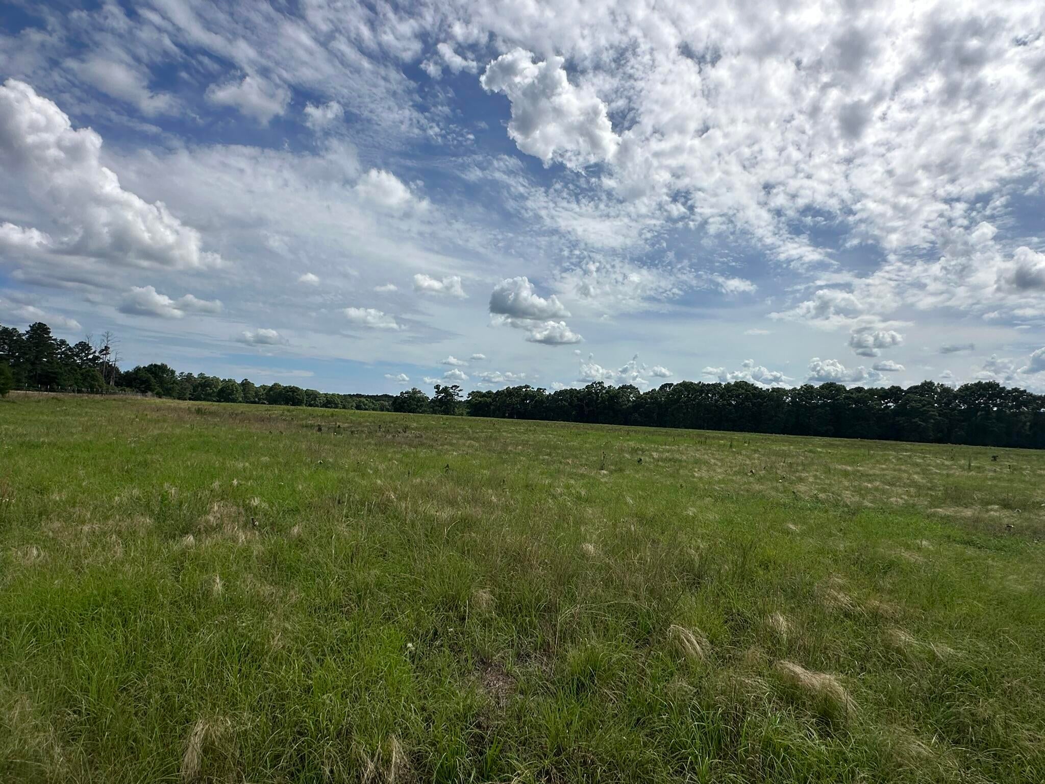 Old Ebenezer Rd, Florala, AL, 36442, USA, 3 Bedrooms Bedrooms, ,2 BathroomsBathrooms,Residential,Active,Old Ebenezer Rd,1005857