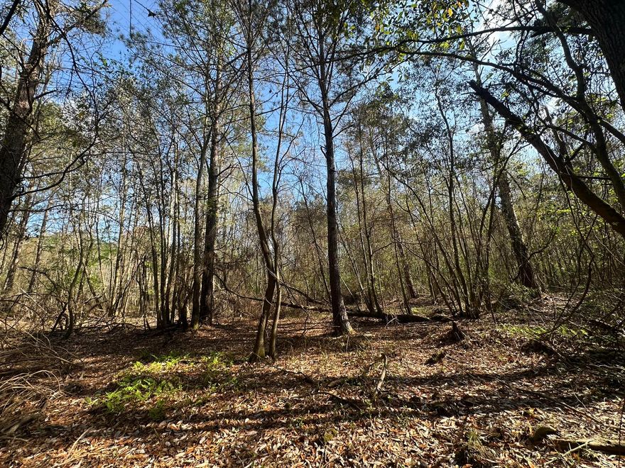 Set along Snider Ave., this approximately 1 +/- acre parcel offers a blend of open space and natural surroundings in a setting known for its quiet pace and strong sense of place. The area reflects the character of Monroe County, with a landscape shaped by timber, farmland, and long-standing Southern roots. This property presents an opportunity to enjoy space, privacy, and flexibility for a variety of potential uses. Whether you're looking to invest in land or create a personal retreat, this parcel offers a setting that captures the essence of rural Alabama living.