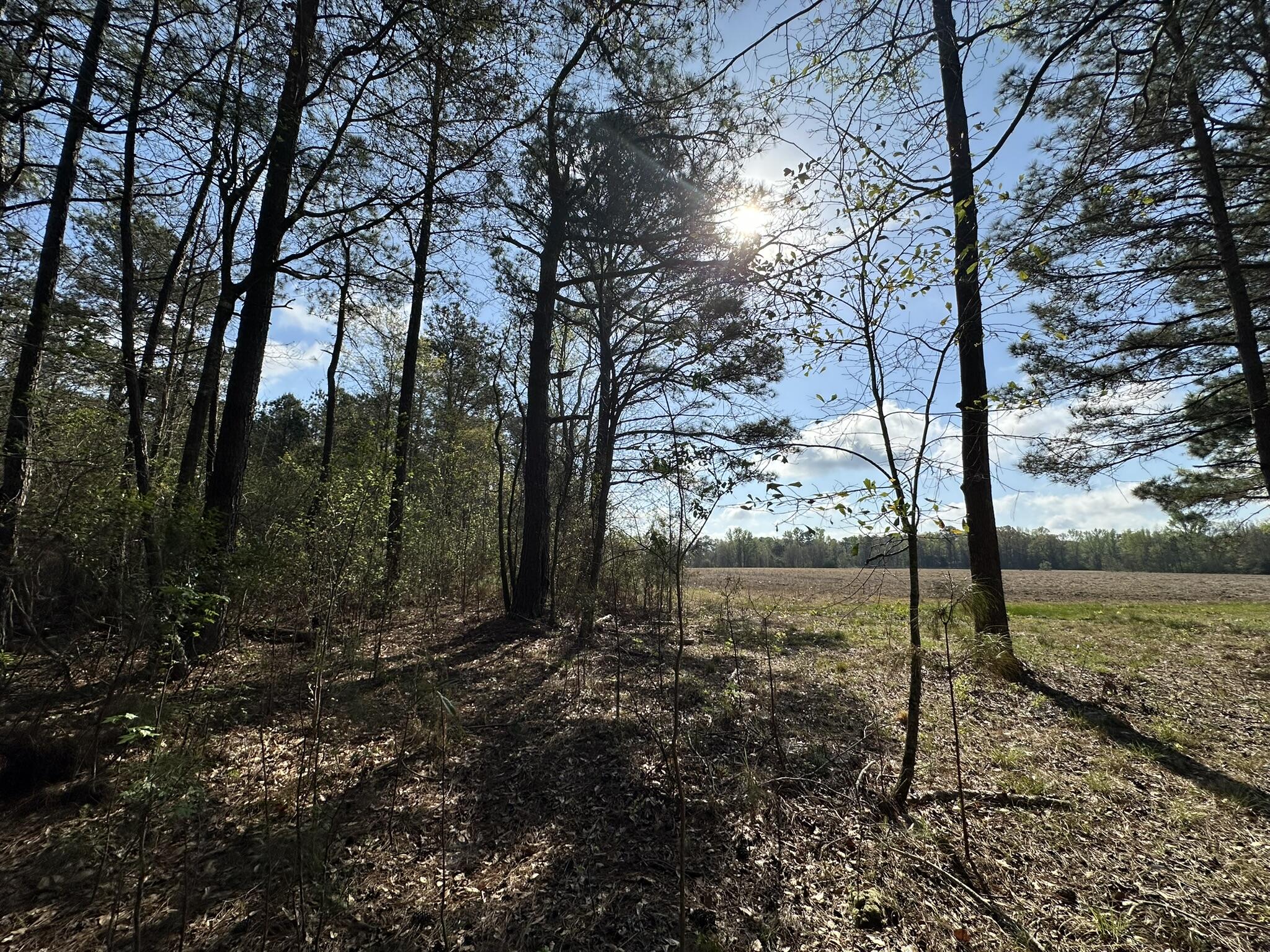 NO RECORDED SUBDIVISION - Land