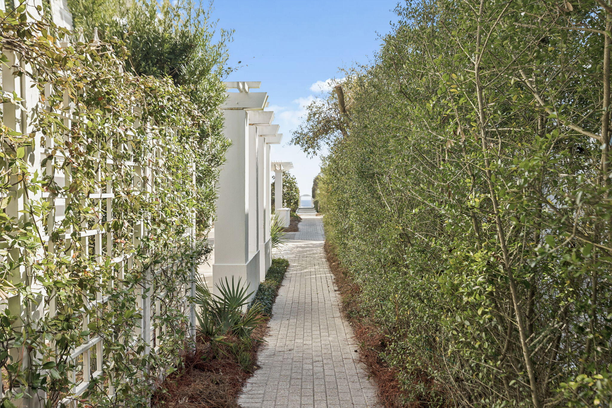 JASMINE DUNES - Residential