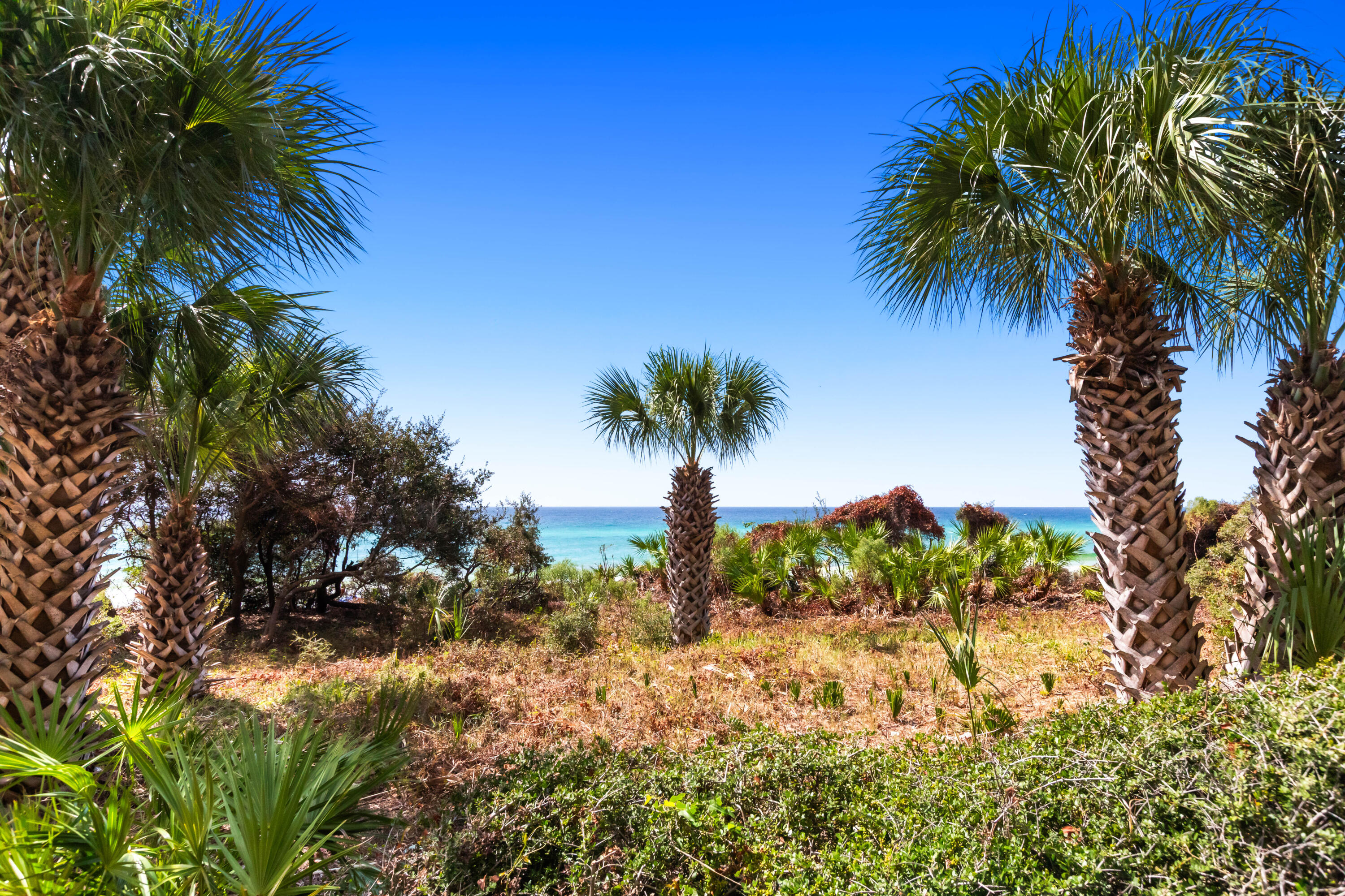 ONE SEAGROVE PLACE CONDOMINIUM - Residential