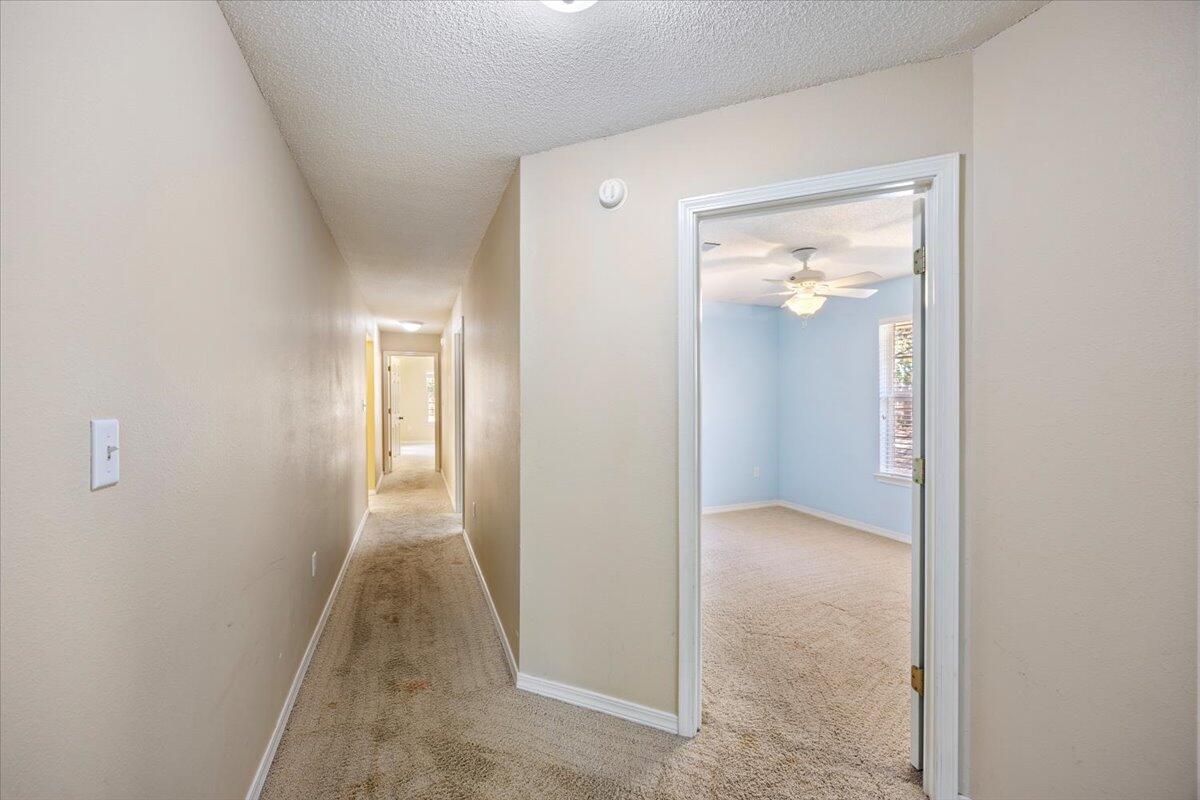 BERKELEY FOREST - Residential