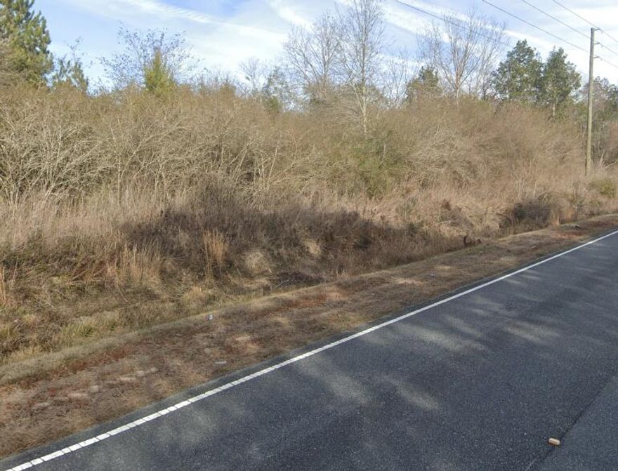 Bring your vision to life on 20 acres in DeFuniak Springs! Looking for the perfect canvas for your homestead, agricultural venture, or private retreat? This expansive parcel offers incredible potential in a highly accessible location. Situated directly on County Highway 192, the property boasts excellent paved road frontage just east of US Highway 331 N, making your commute or equipment transport an absolute breeze. The property is zoned General Agriculture, allowing you to bring your animals, build your dream home, establish a farm, or create a private estate to accommodate a variety of rural and residential uses. Sleep easy knowing the entire tract is located in the highly desirable Flood Zone X, indicating an area of minimal flood hazard and giving you maximum flexibility when choosing your ideal building footprint. Currently densely wooded with native growth, it provides ultimate privacy from the road where you can clear a long, winding driveway to a hidden homesite or open up pasturage to suit your specific needs. Schedule your drive-by today and claim your piece of Walton County!