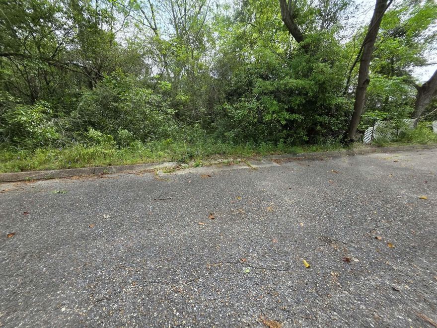 Owner Title Insurance not available to lots- paved road frontage, previously had a mobile home on property at one time so utilities on site. Wooded level lot!