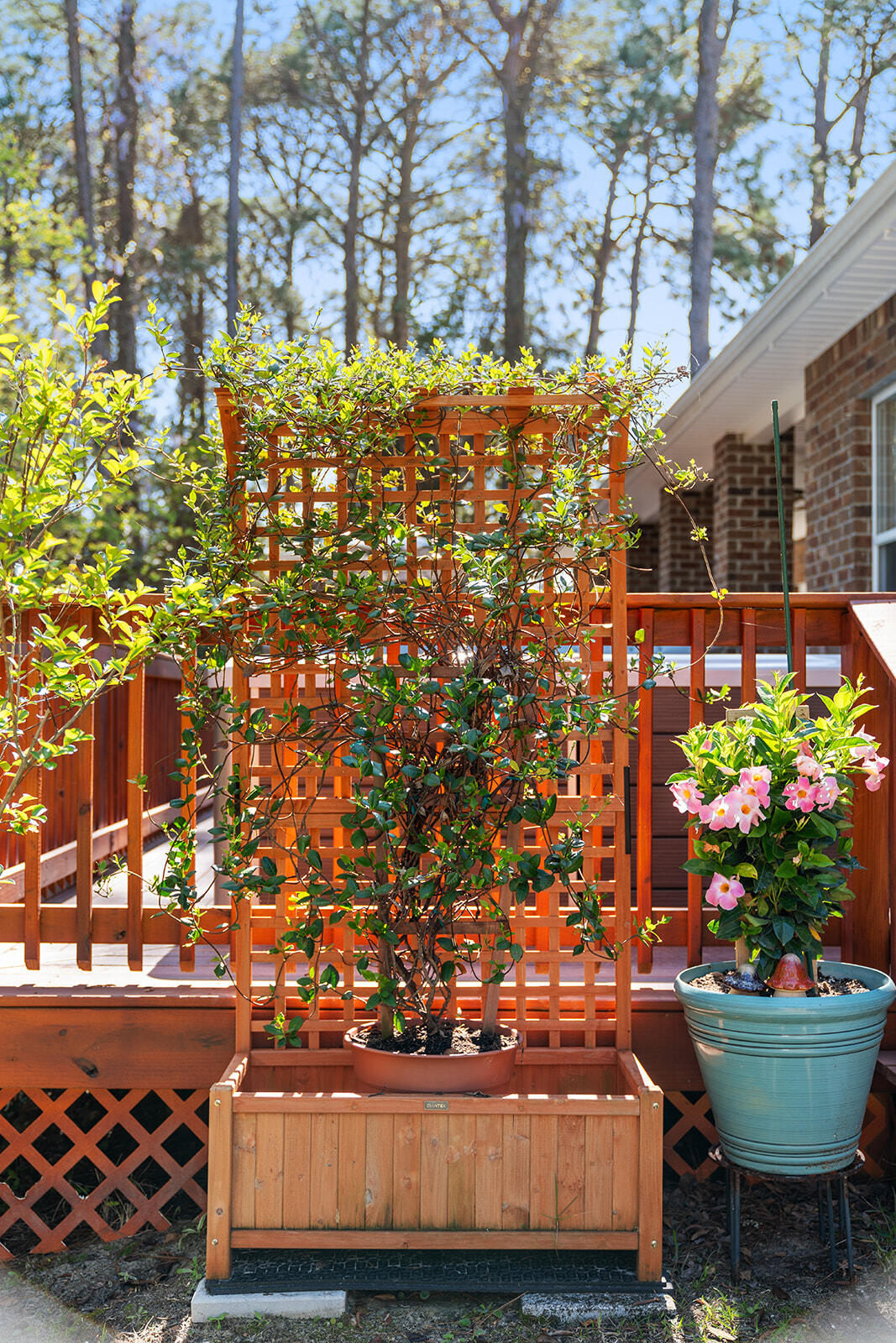 LAKE LORRAINE ESTATES - Residential