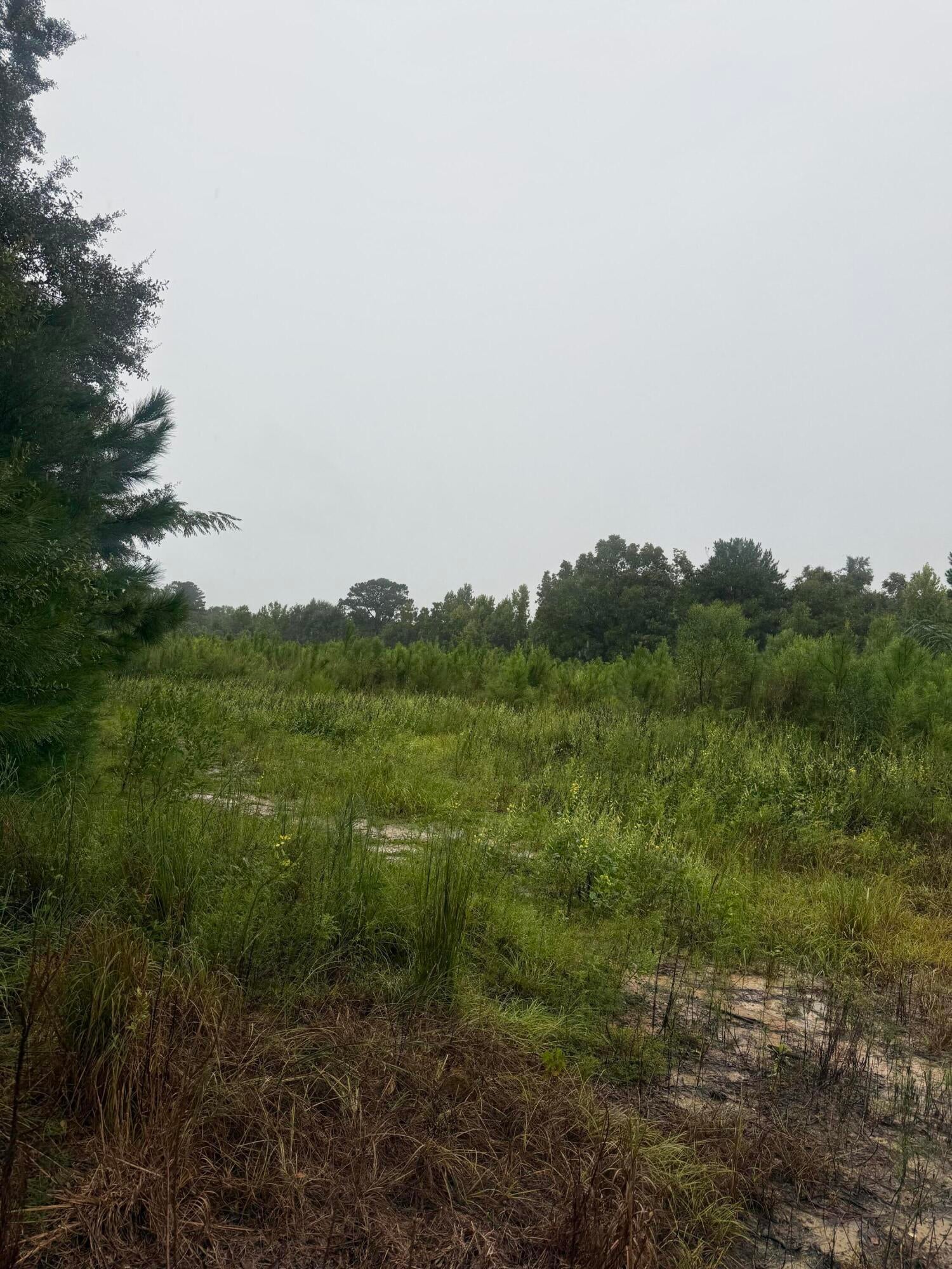 1950 Grady Baggett Road