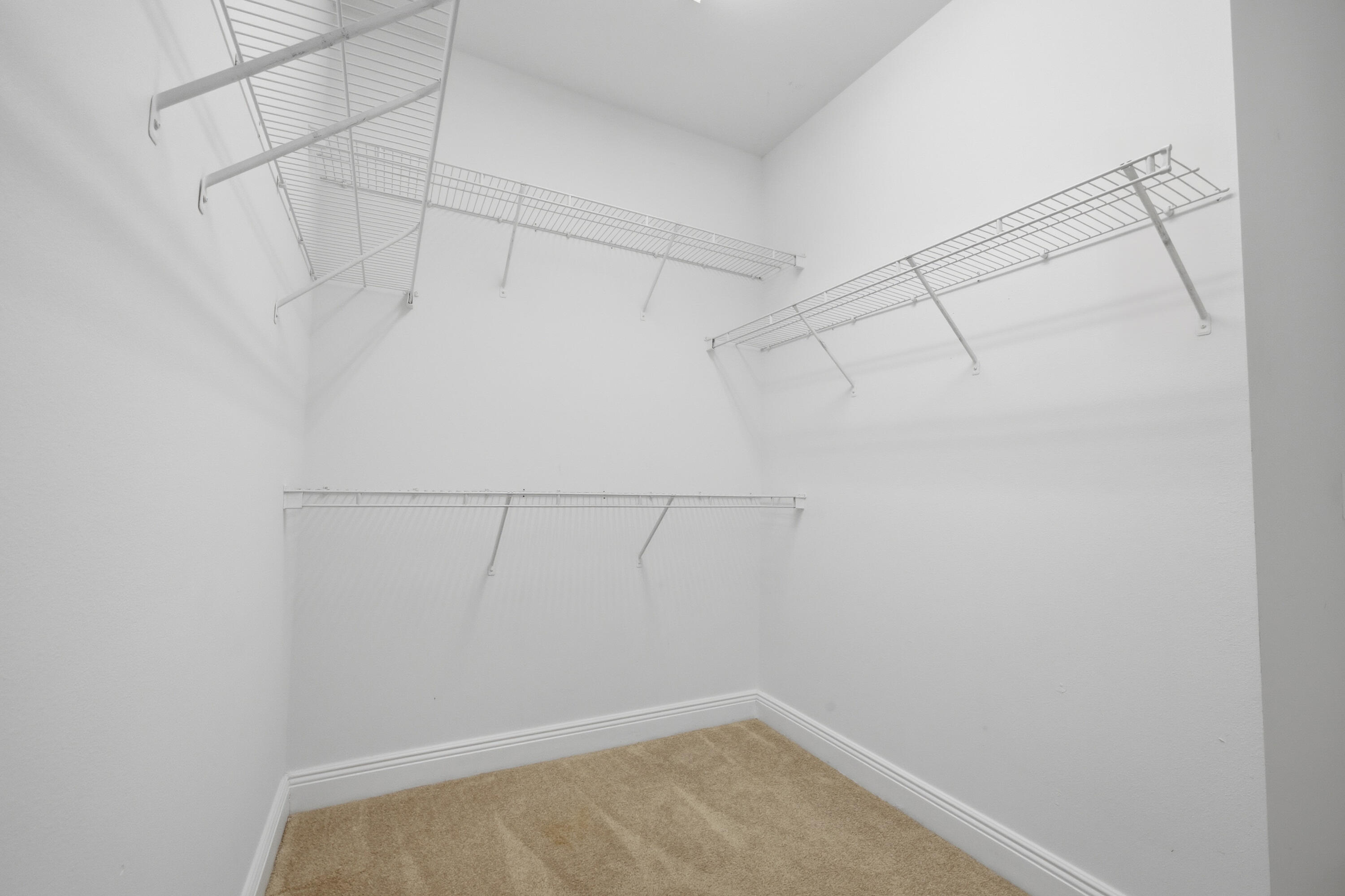 Windswept - Residential