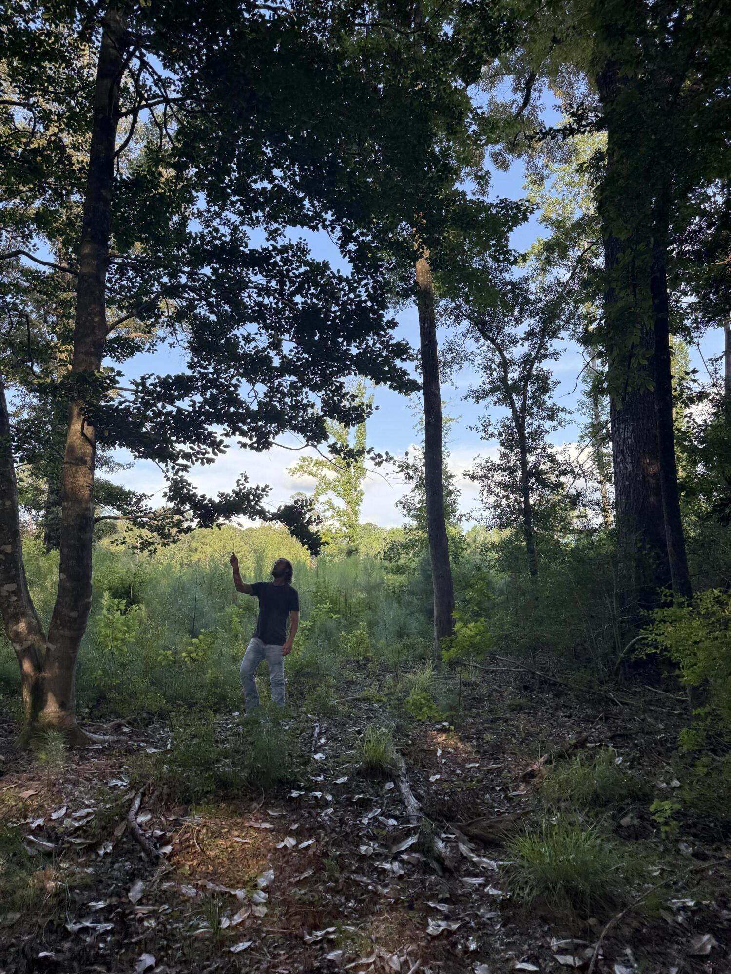 METES & BOUNDS - Land