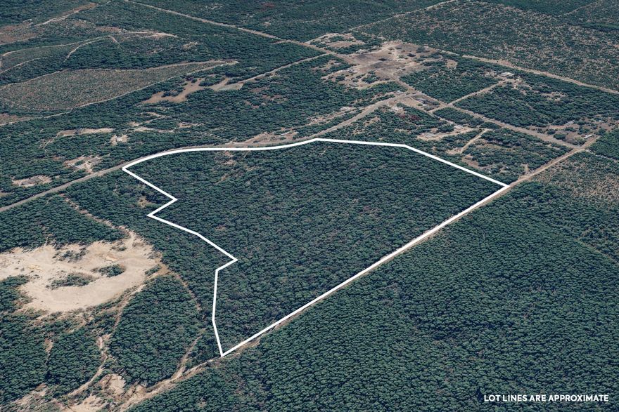 Set across 40 acres of natural landscape, 287 High Lonesome Road presents a rare opportunity to shape a vision in the quiet surroundings of DeFuniak Springs--where scale, privacy, and possibility come together with intention.

The property is heavily wooded, offering a rich canopy of mature trees and a sense of seclusion that invites thoughtful design and long-term planning. Whether imagined as a private estate, recreational retreat, or future development, the land provides a versatile canvas where architecture and environment can exist in harmony. With power and septic already in place, foundational elements are established, allowing the next phase to unfold with greater ease. A water source will be needed, presenting an opportunity to tailor infrastructure to the specific needs of the property and its intended use.

Positioned less than 30 miles from the Gulf, the location offers a balance between peaceful inland living and access to the region's renowned coastline. Days can move between the quiet of wooded acreage and the energy of the Emerald Coast, creating a lifestyle defined by both space and connection.

Defined by its scale, natural beauty, and potential, 287 High Lonesome Road offers an opportunity to create something lasting--an environment shaped with intention, where possibilities are as expansive as the land itself.