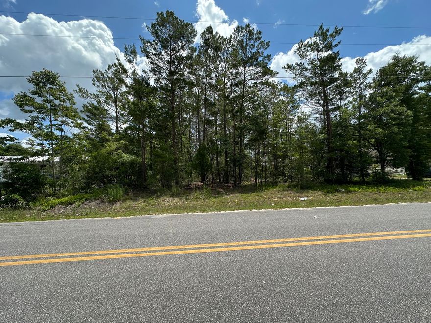 Large .33 care, affordable lot ready for your primary or 2nd home with NO HOA and NO build out time.  Located just minutes to Hwy 331 and 10 min from historic Defuniak Springs, schools, shopping & restaurants are nearby.