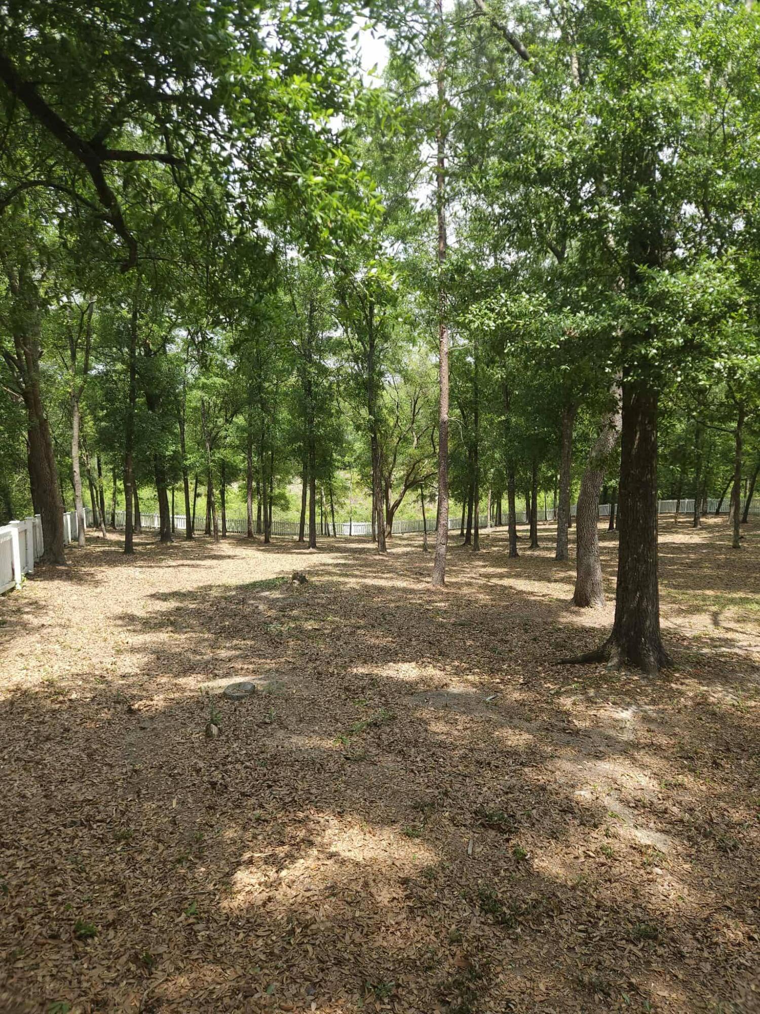 MOSSY Head Unit V - Residential