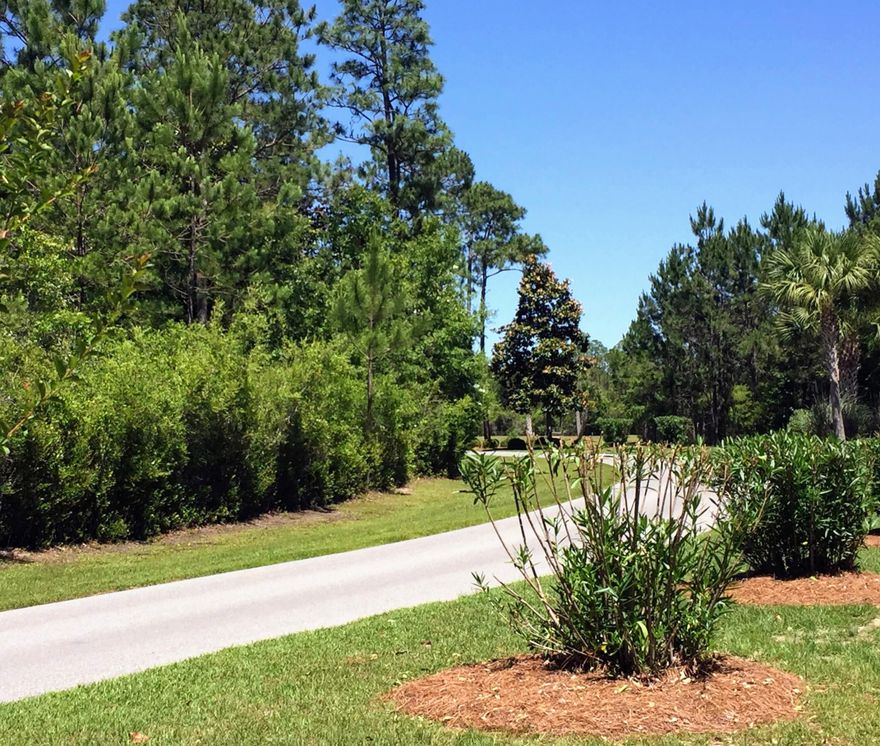 Survey? Yes!  Elevation Certificate? Yes!
Bay View? Yes! Low HOA? Yes! Low Taxes!
No Build Out Time! 
''UNMATCHED SCALE IN BAY HARBOUR. Lot 71 offers a rare 1.32-acre canvas--nearly double the size of typical neighborhood offerings. Nestled in a quiet cul-de-sac, this estate-sized lot provides the ultimate privacy while maintaining access to Bay Harbour's luxury amenities, including the community dock, sunset boardwalk, and tennis courts. With no build-out time and underground utilities ready, this is the premier choice for a custom coastal estate in the 30A corridor's fastest-growing feeder market.''