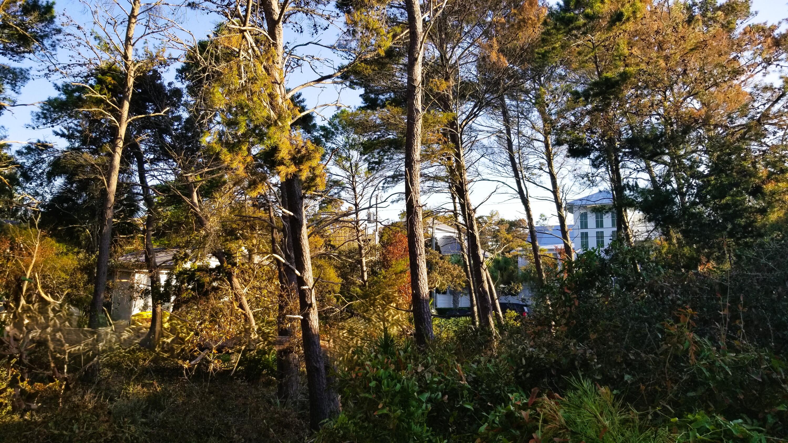 Lot 21 Crescent Road Block C