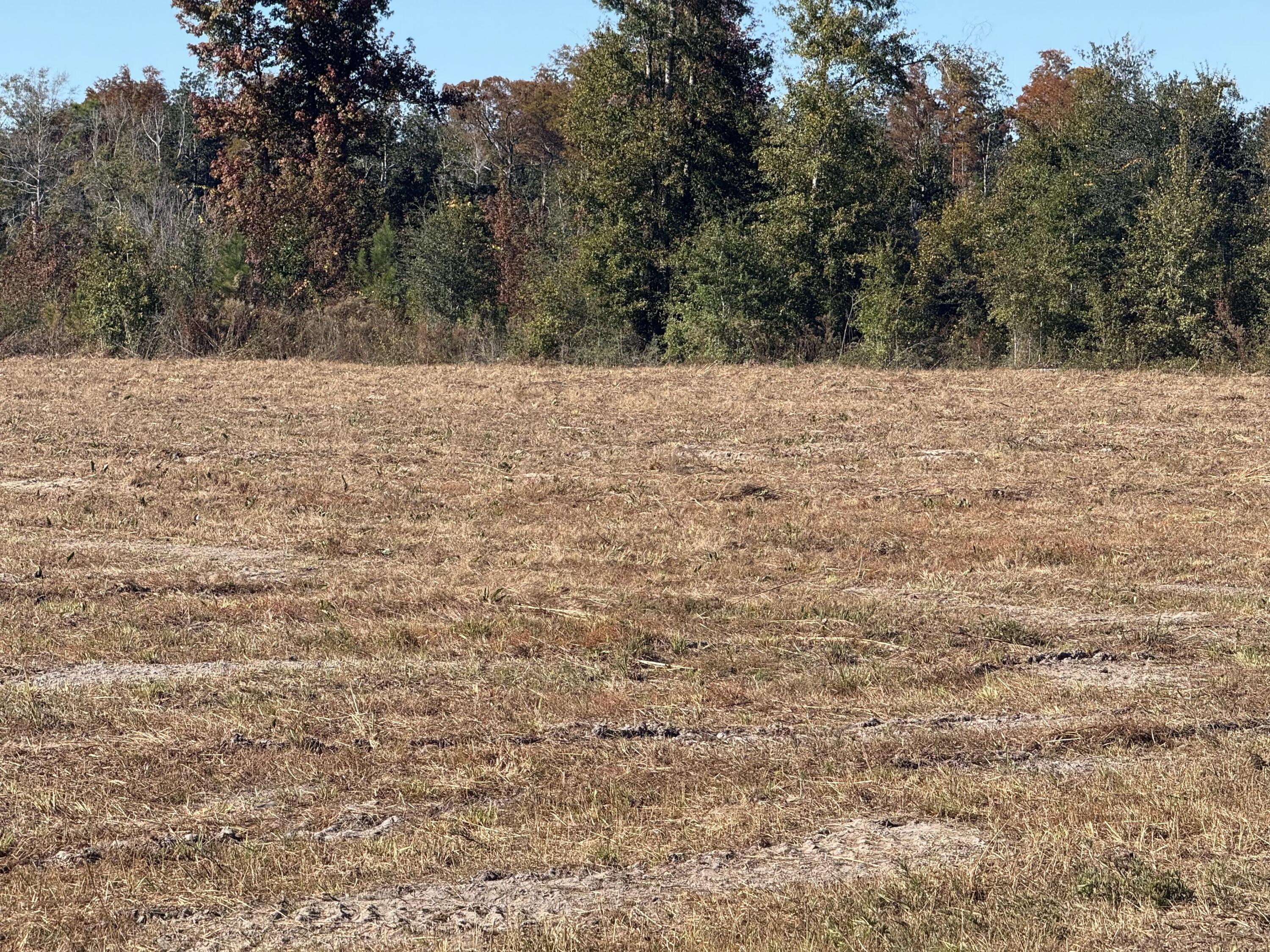 Lot 1 Hwy 71