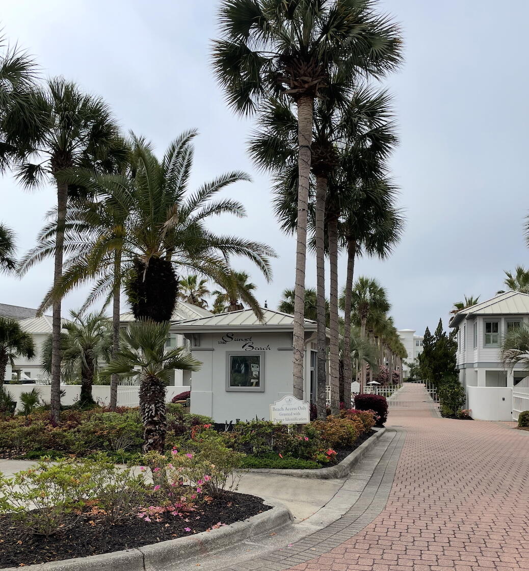 ALEXANDER AT PALM COURT - Residential