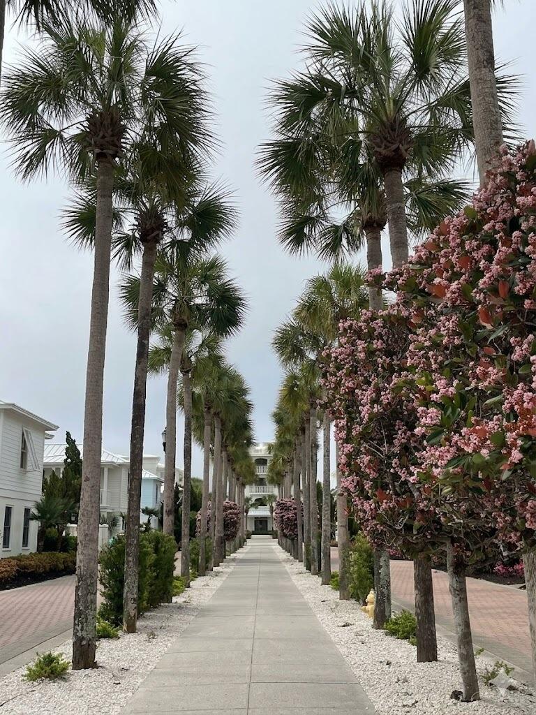 ALEXANDER AT PALM COURT - Residential