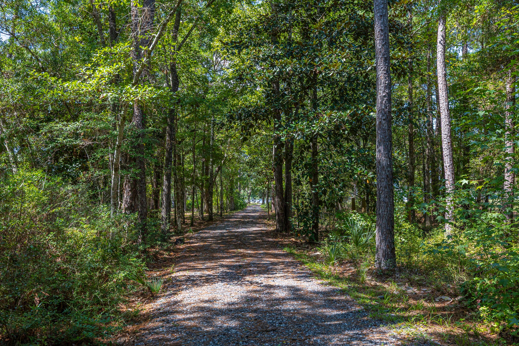 115 Old Oak Road