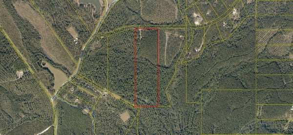 3 SOUTHERN CT, CRESTVIEW, FL 32539 - Image c8be612e9a2a8bcd495851e0a437eff7/427269763