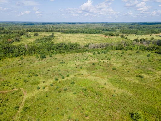 CAMPBELL RD, DEFUNIAK SPRINGS, FL 32435 - Image c9c4b1438063ecc3d52b6e0dcc9ef40e/711468174