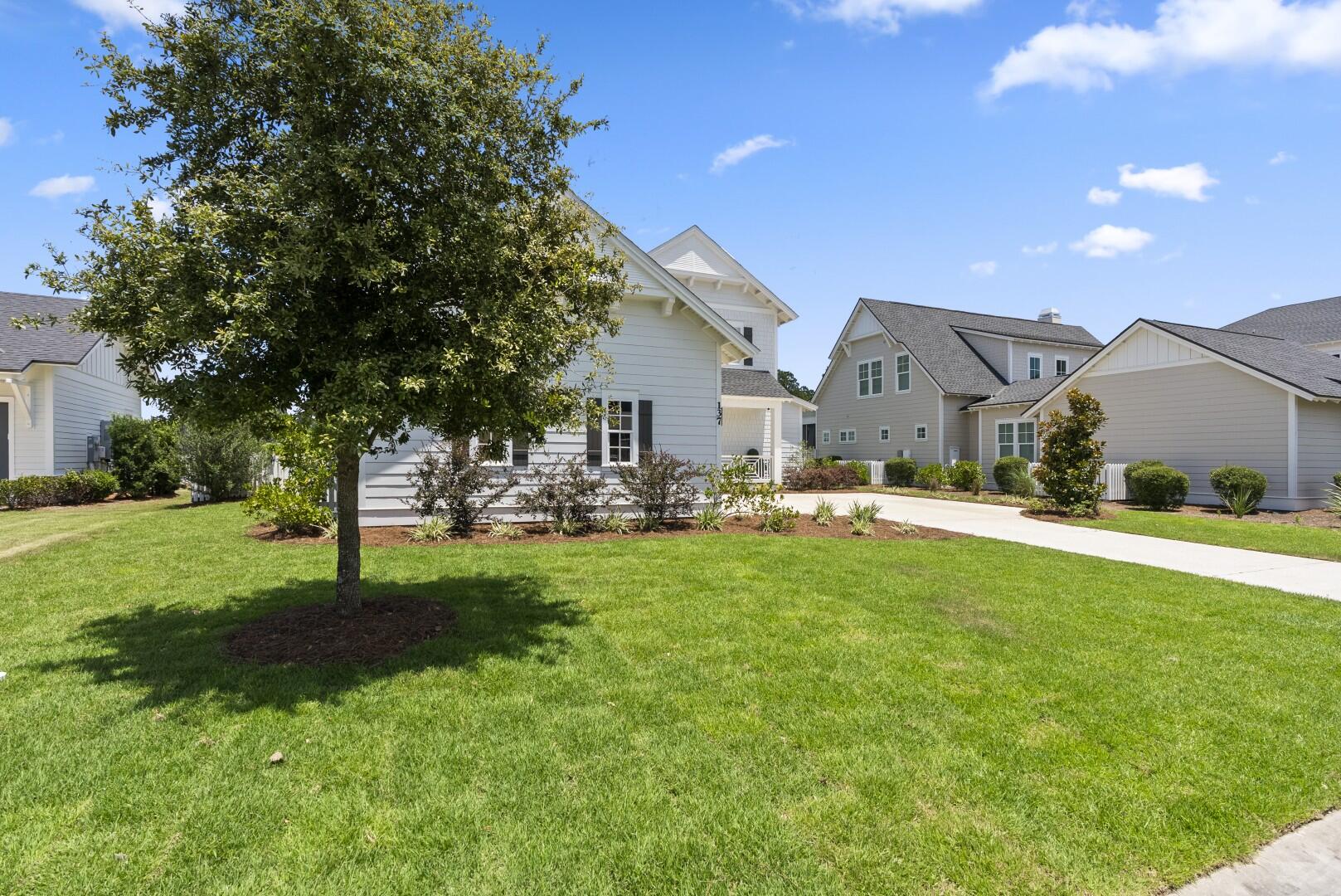 137 Needle Cast Lane