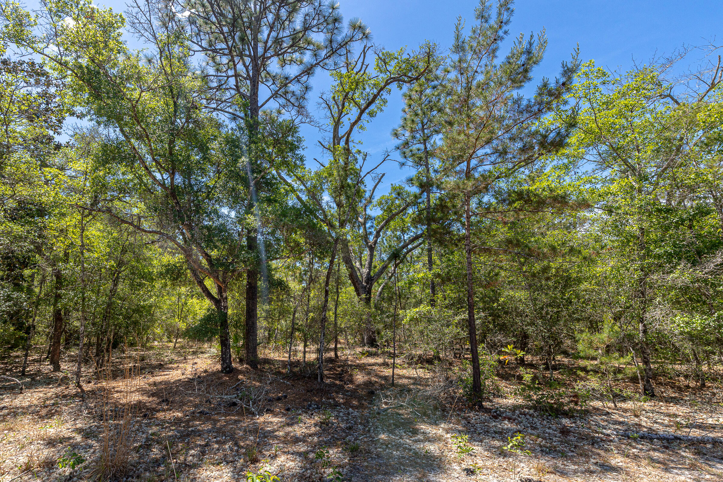 The Shoal - Residential