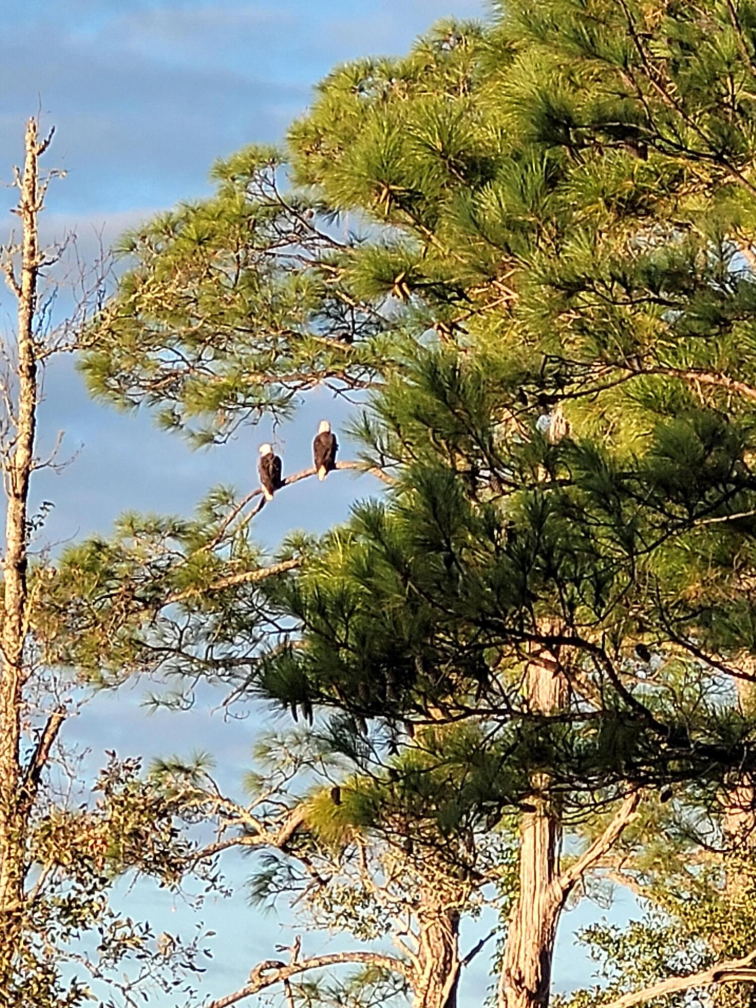 LAGRANGE BAYOU ESTATES - Residential