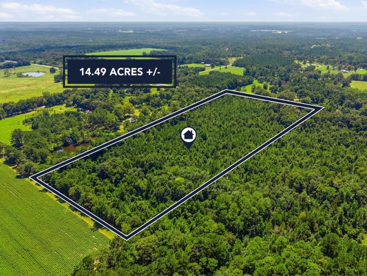 STATE HIGHWAY 85, LAUREL HILL, FL 32567 - Image cafb2ec6f3eb7a3ce75b0318f7e50c1e/1734918575
