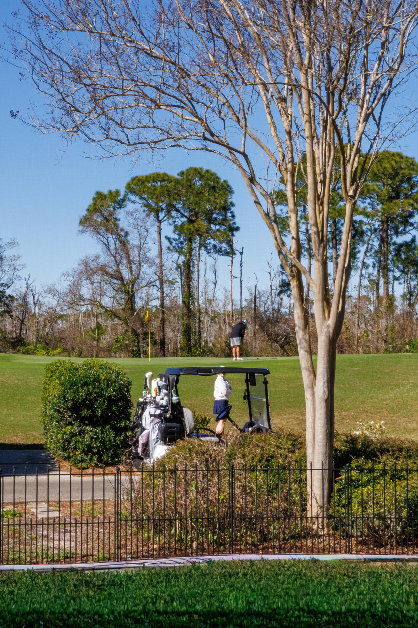 REGATTA BAY PATIO HOMES - Residential