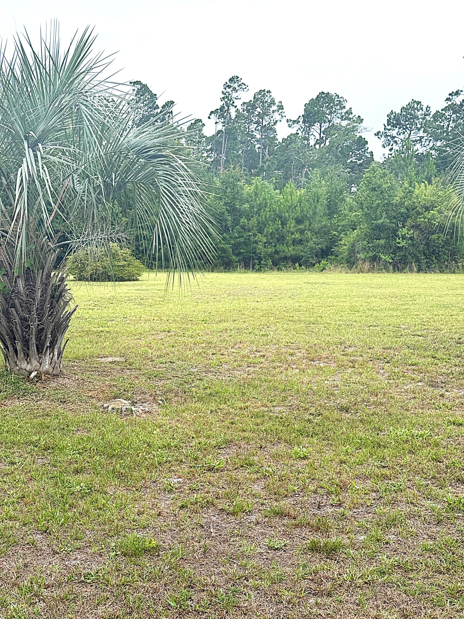 Photo 1 of 5 — Lot 3 Oak Grove Avenue, Port St. Joe, FL 32456