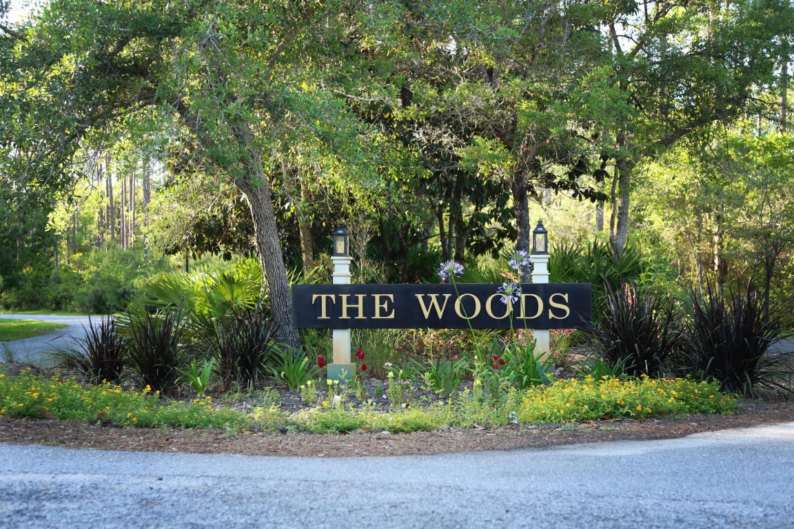 The Woods - Land